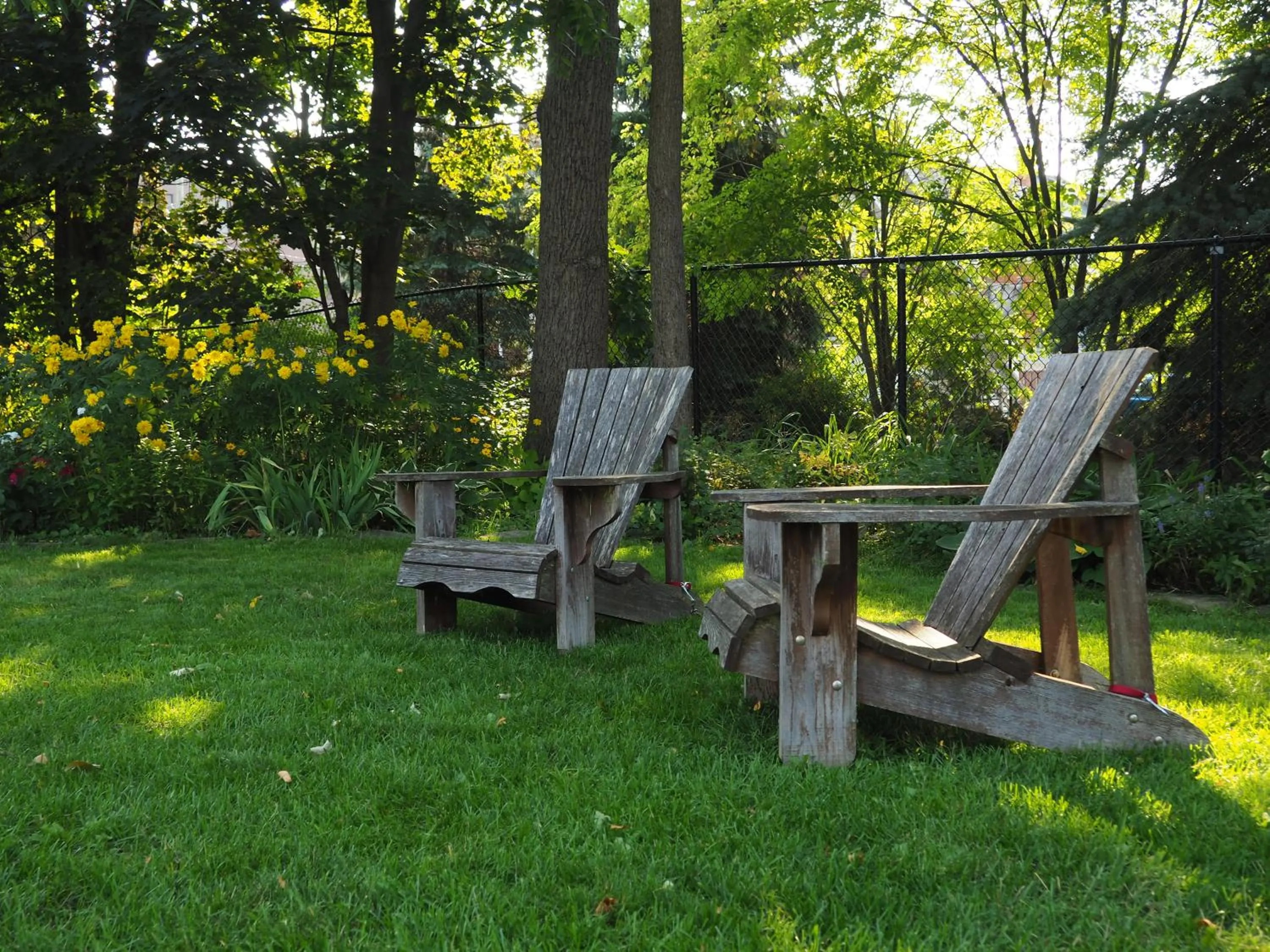 Garden in Parkside House