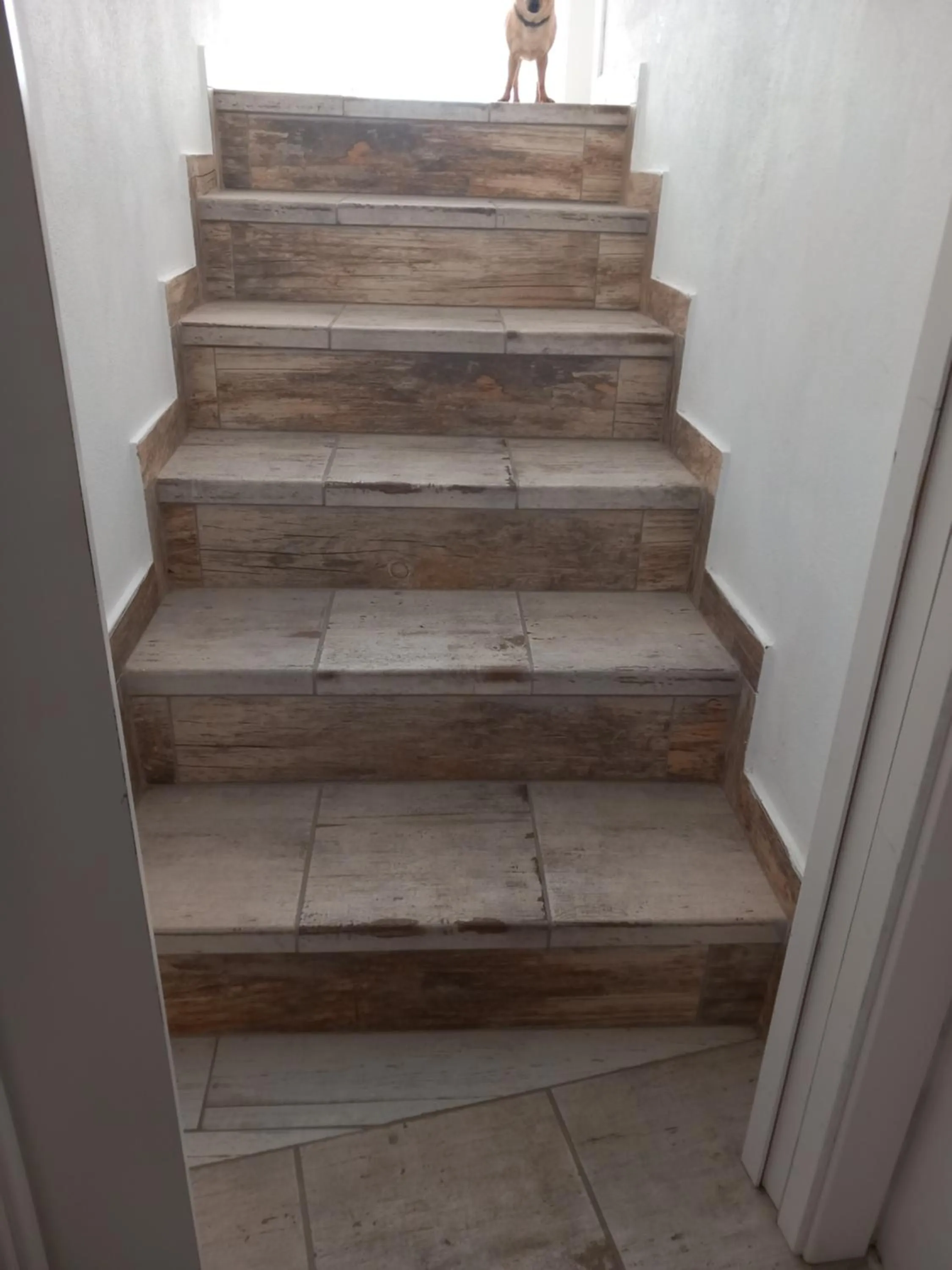 O Quintal Guesthouse