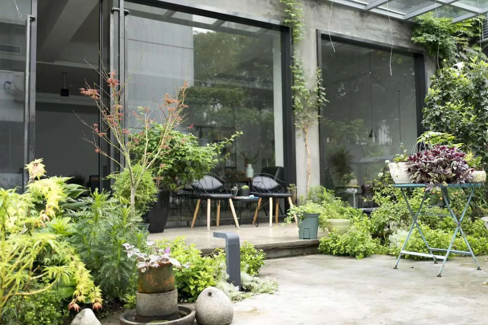 Garden in Urban Rosa Cafe&Inn