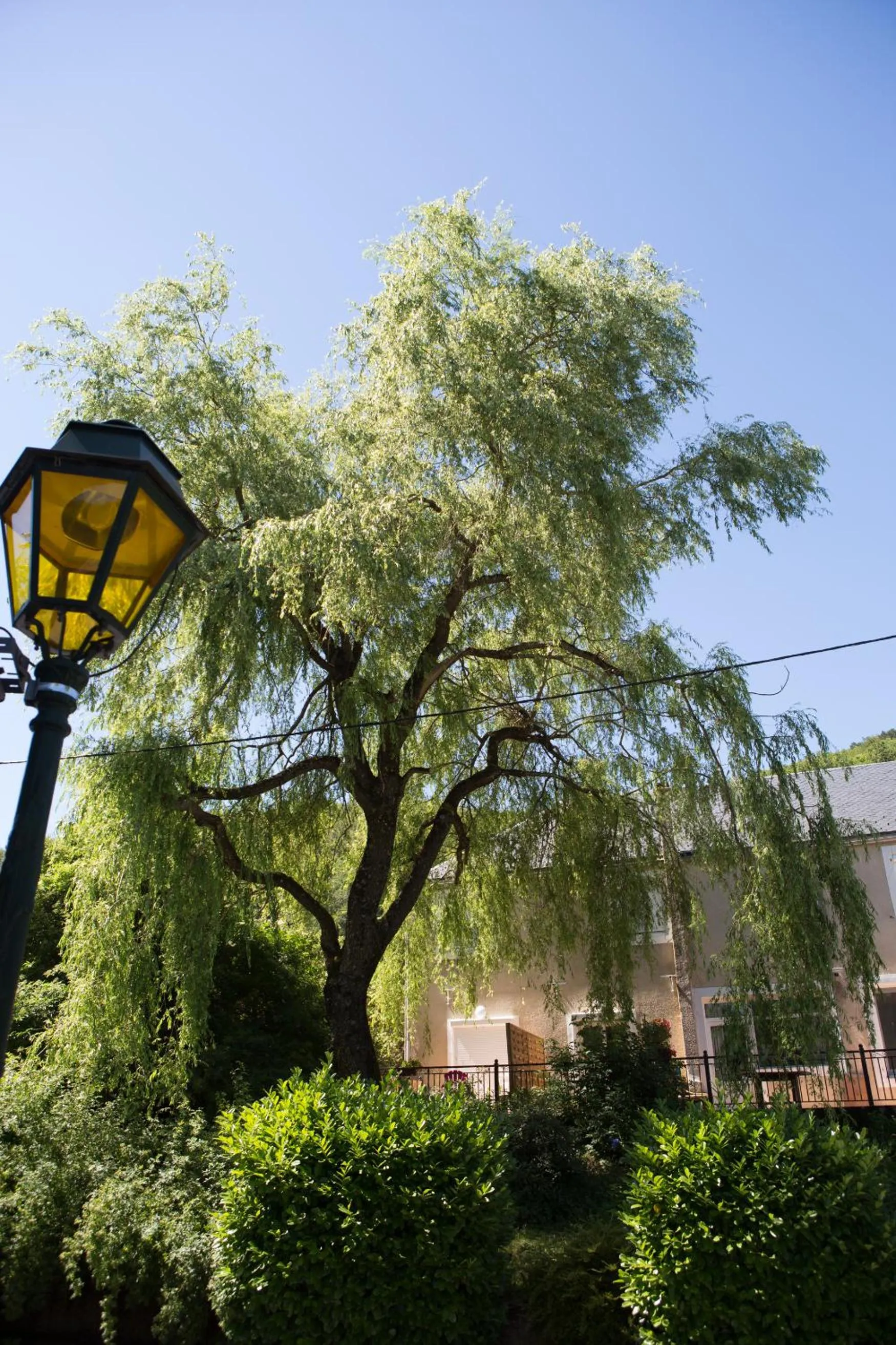 Garden view in Logis hôtel restaurant Auberge de l'Espinouse