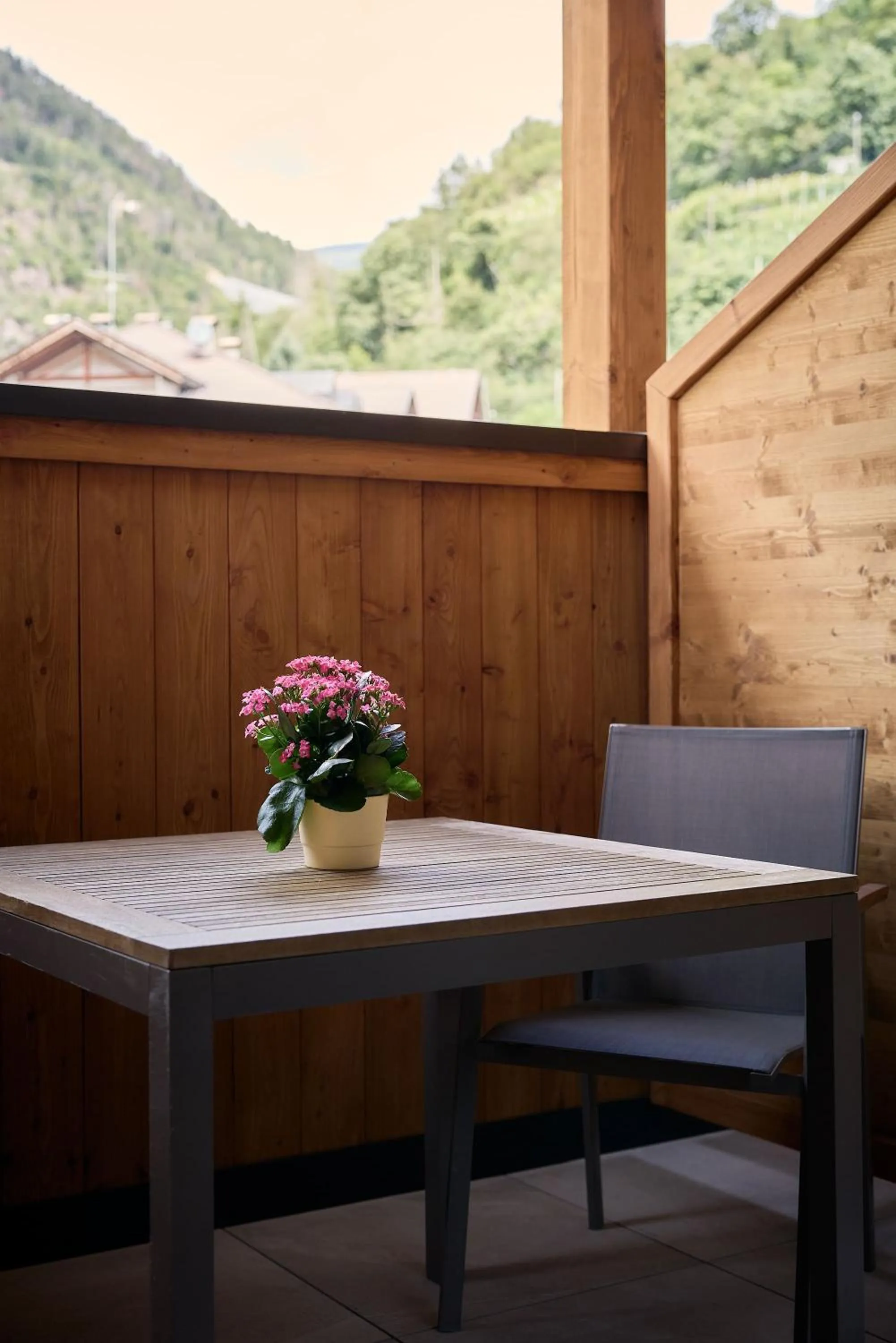 Balcony/Terrace in Hotel Schmuckhof
