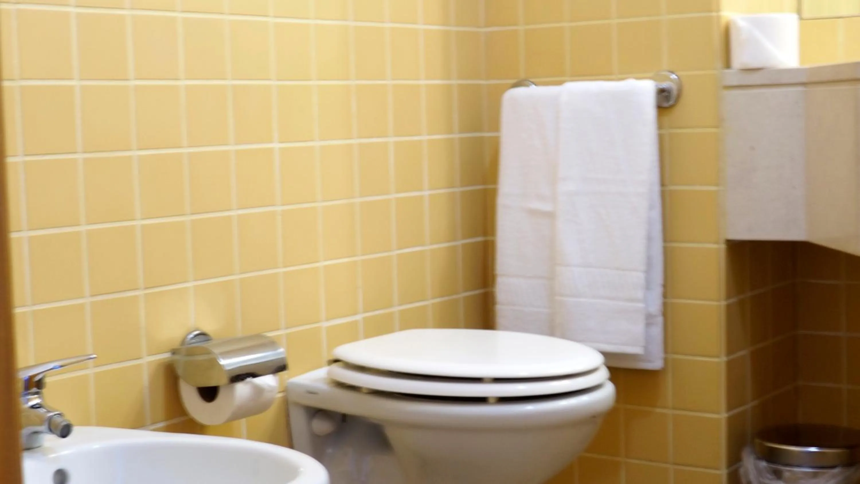 Toilet in Flag Hotel Porto Maia