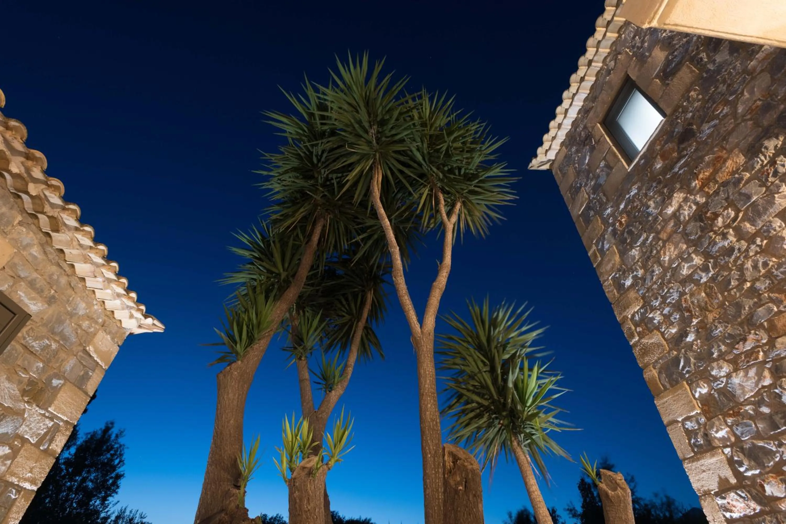 Garden in Calme Suites Mani