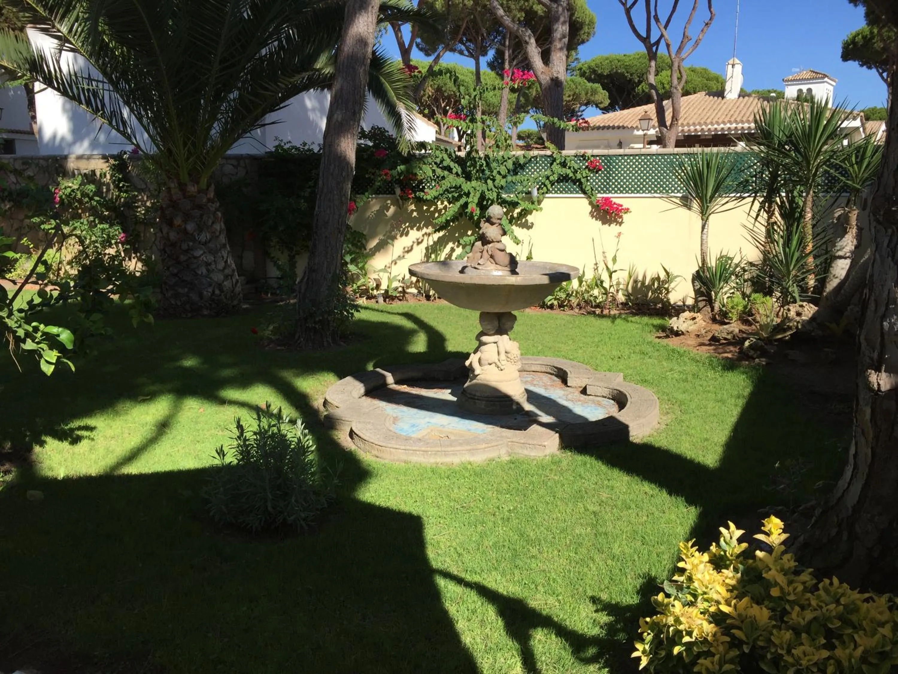 Garden in Hospedería Santiago