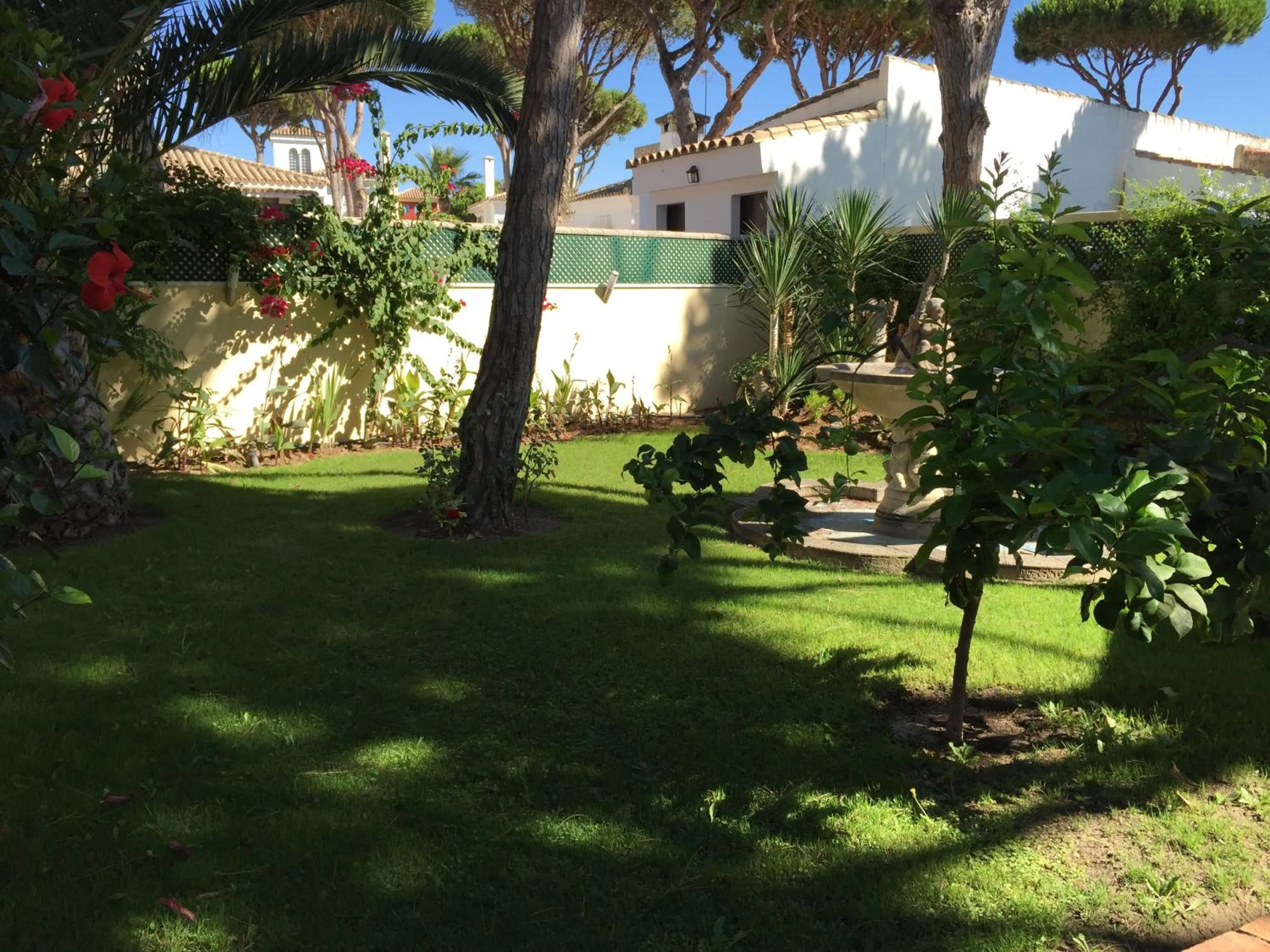 Garden in Hospedería Santiago