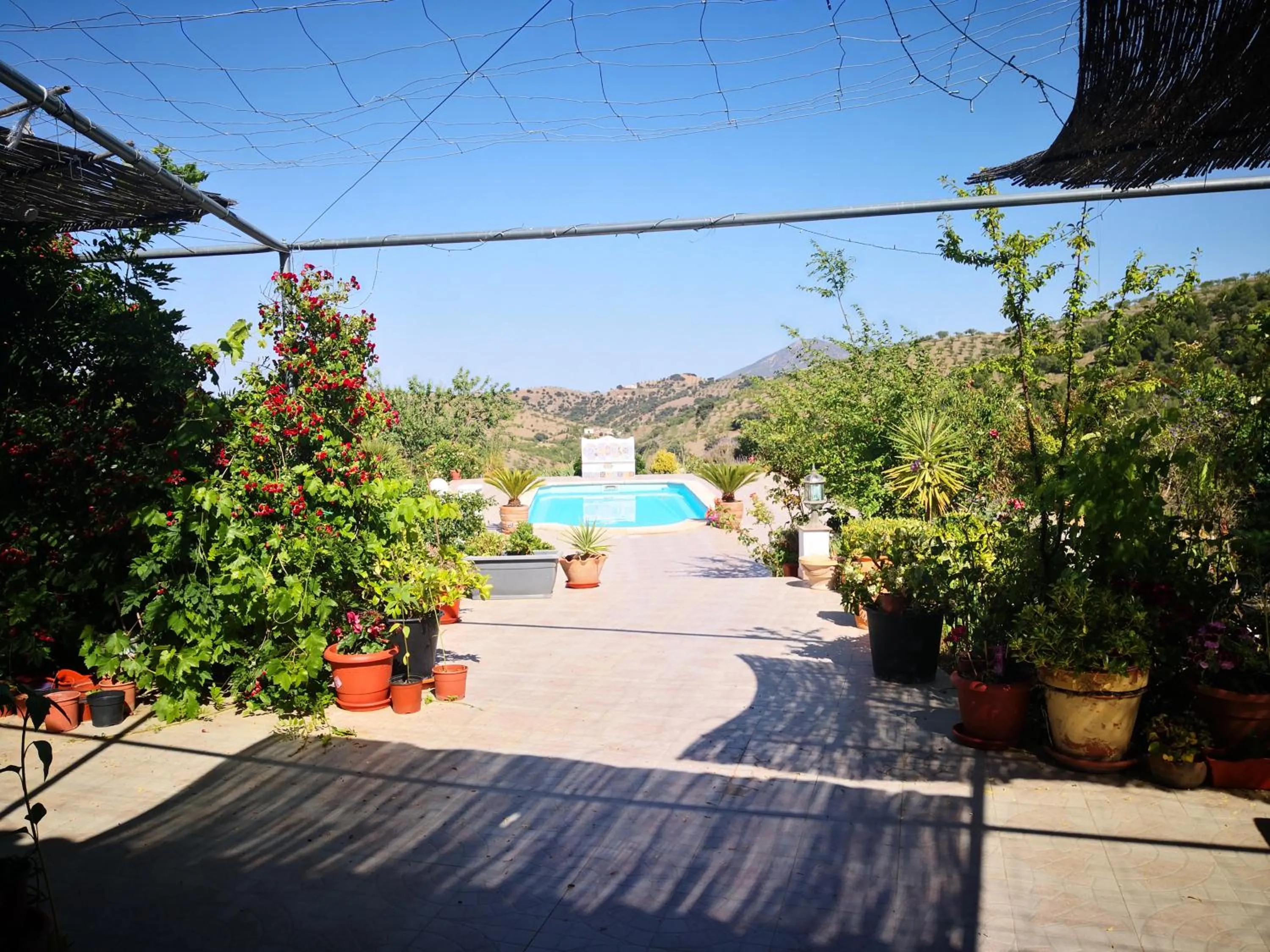 Pool view in Casa Joya