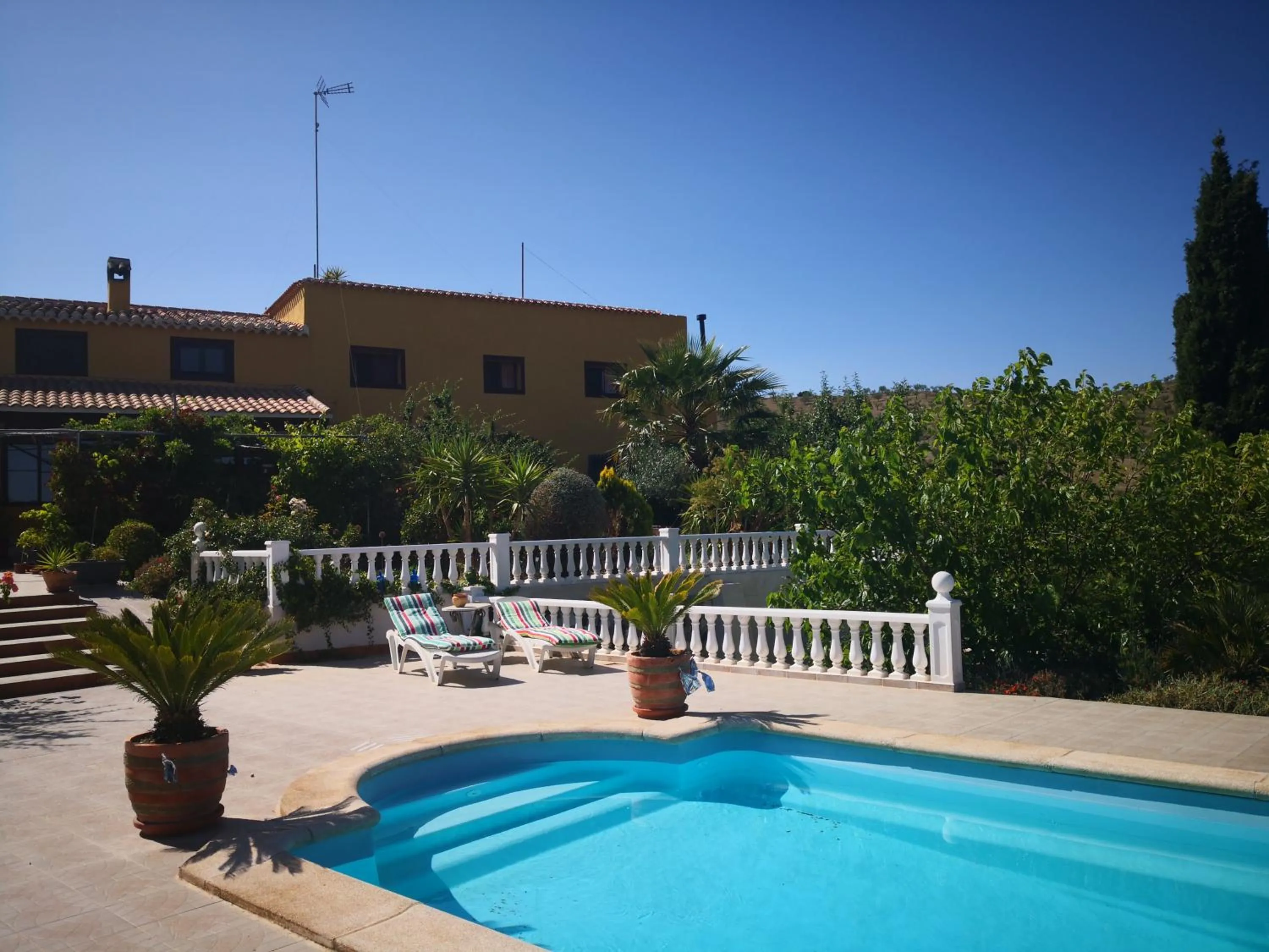 Property building in Casa Joya