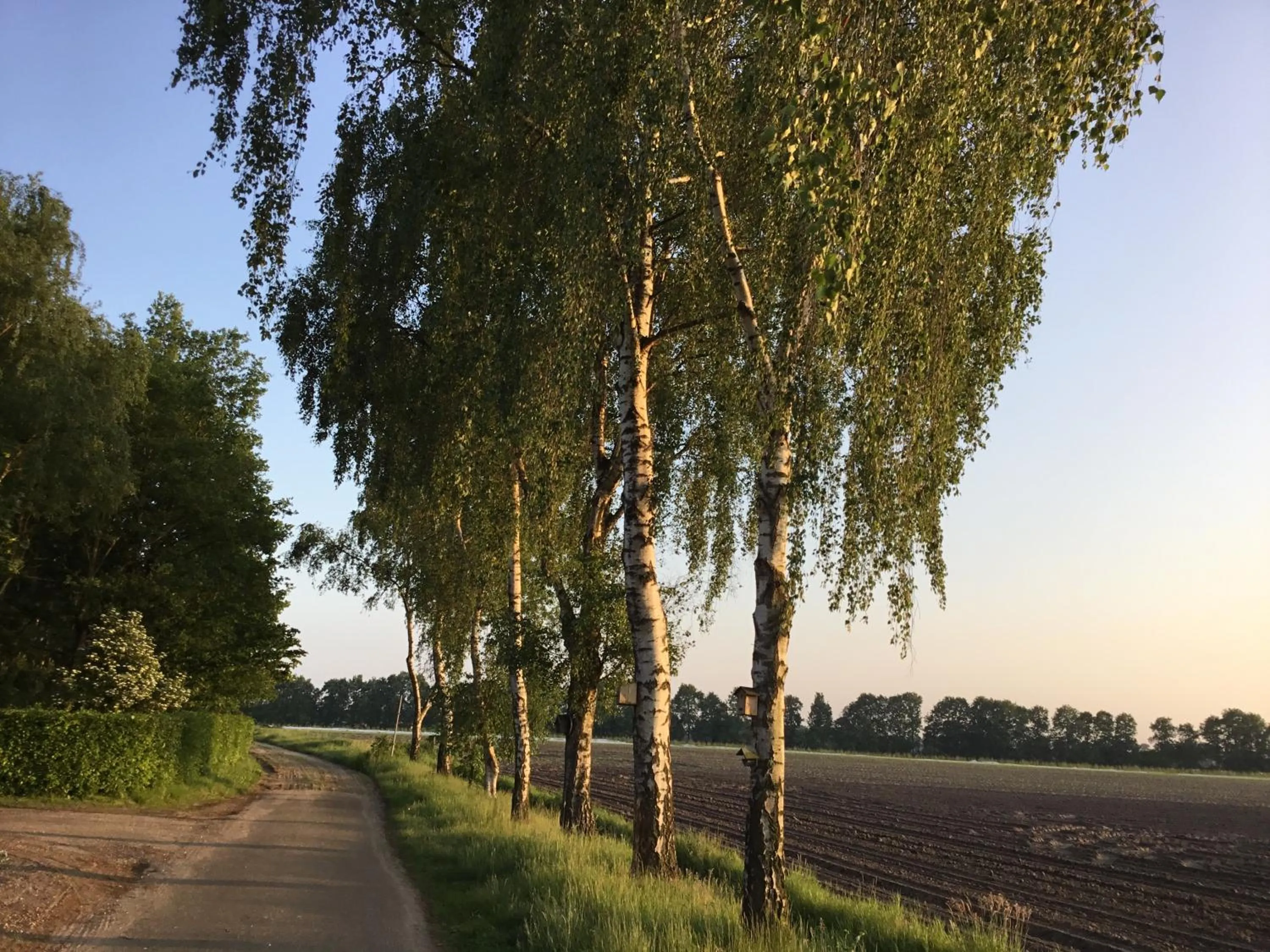 Street view in B&B Op 't Eikenschoor
