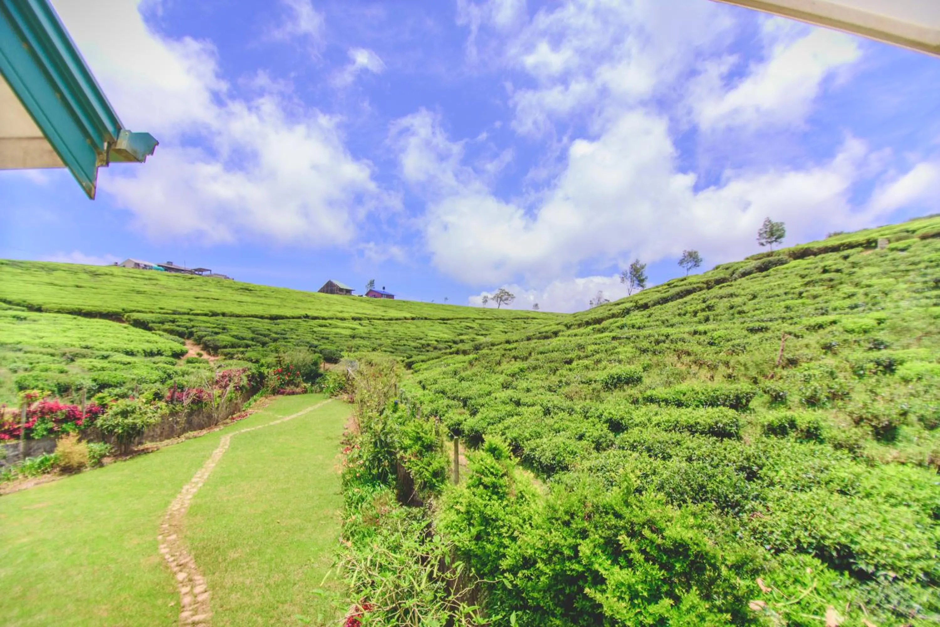View (from property/room) in Sarah Cottage Nuwara Eliya