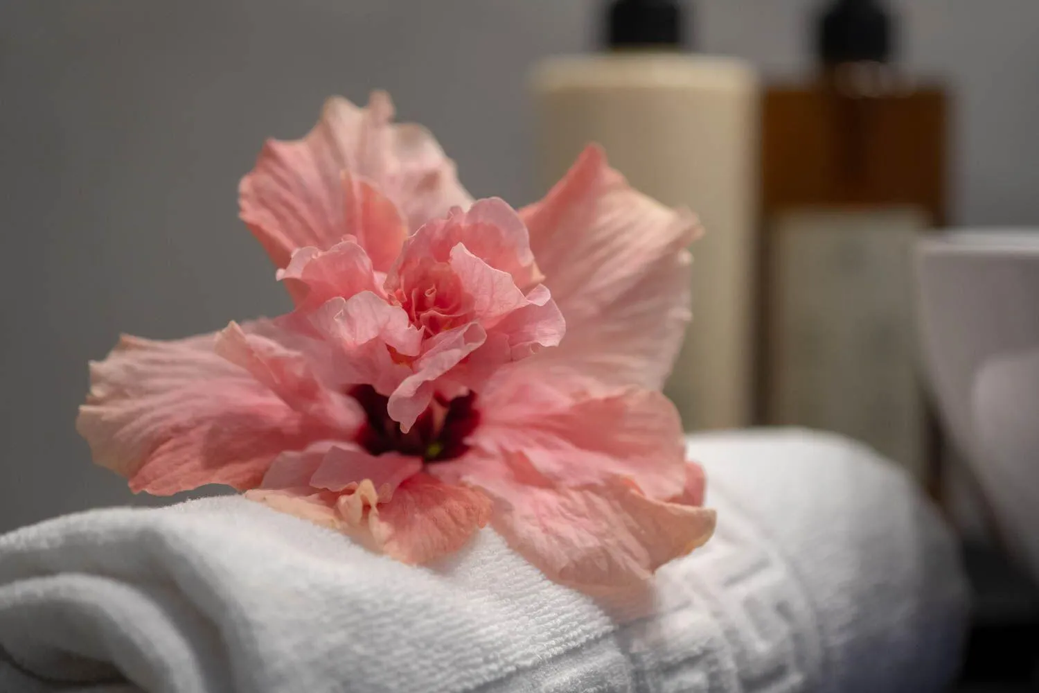 Bedroom in Quinta das Vinhas