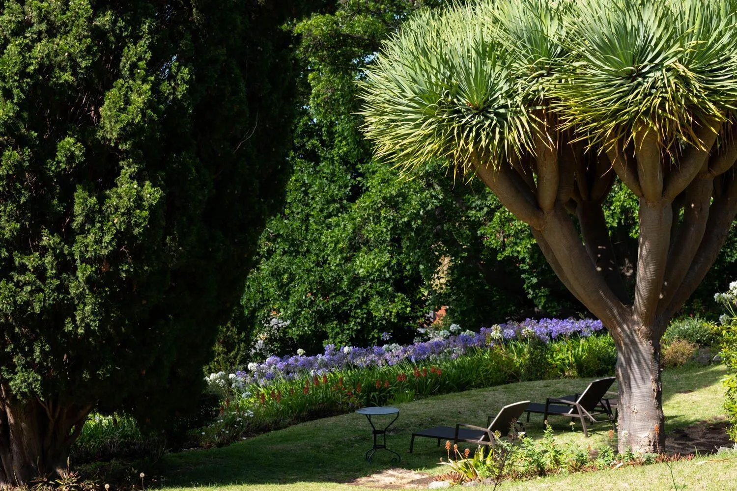 Garden in Quinta das Vinhas