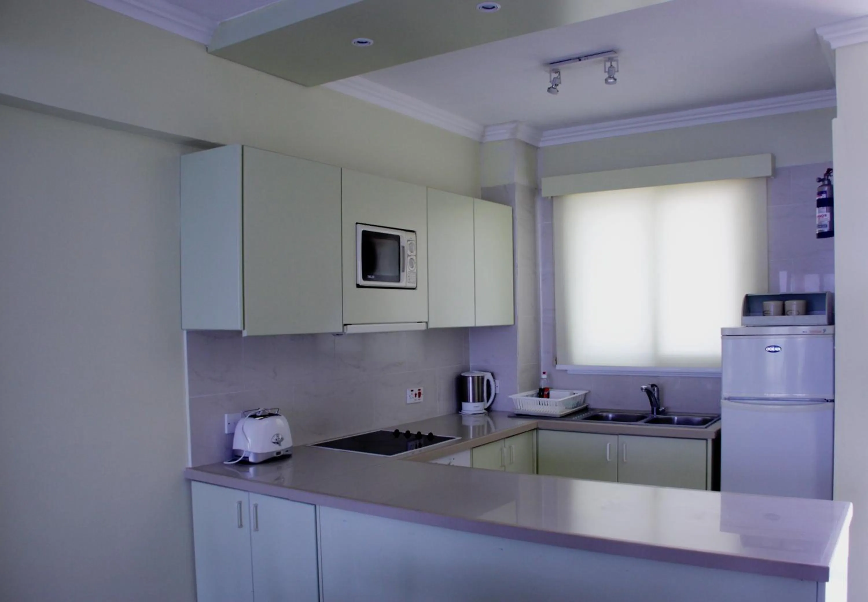 Kitchen or kitchenette in Paphinia SeaView Apartments