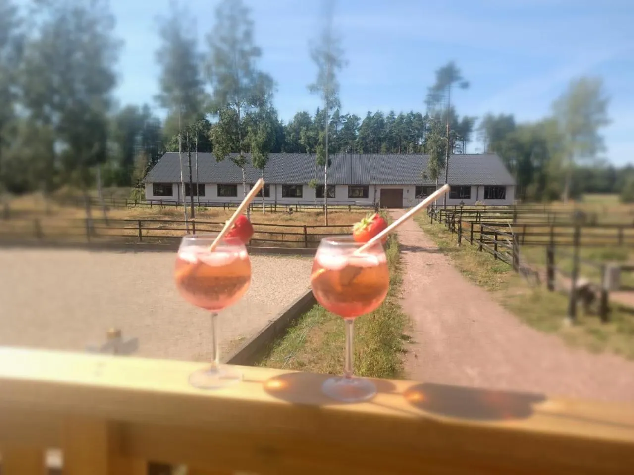 Drinks in Granlunda Gård