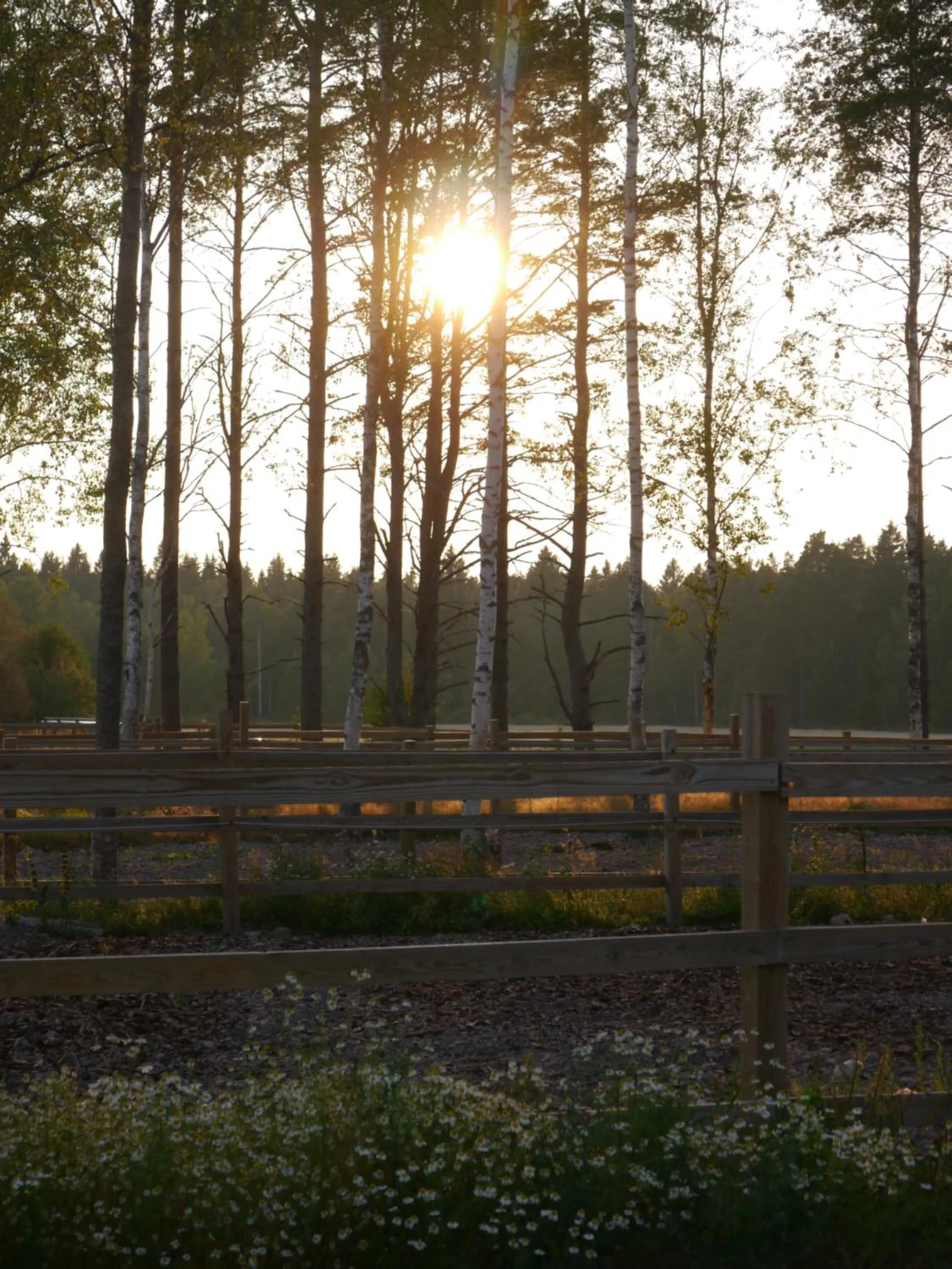 Natural landscape in Granlunda Gård
