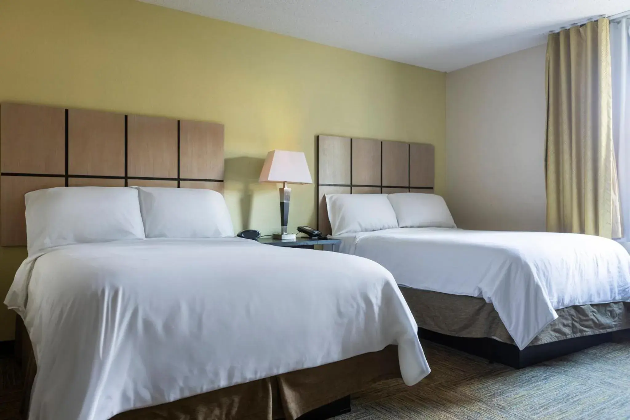 Studio Suite with Two Double Beds and Mobility Accessible Roll-In Shower in Candlewood Suites Colonial Heights - Fort Lee by IHG Studio Suite with Two Double Beds and Mobility Accessible Roll-In Shower in Candlewood Suites Colonial Heights - Fort Lee by IHG