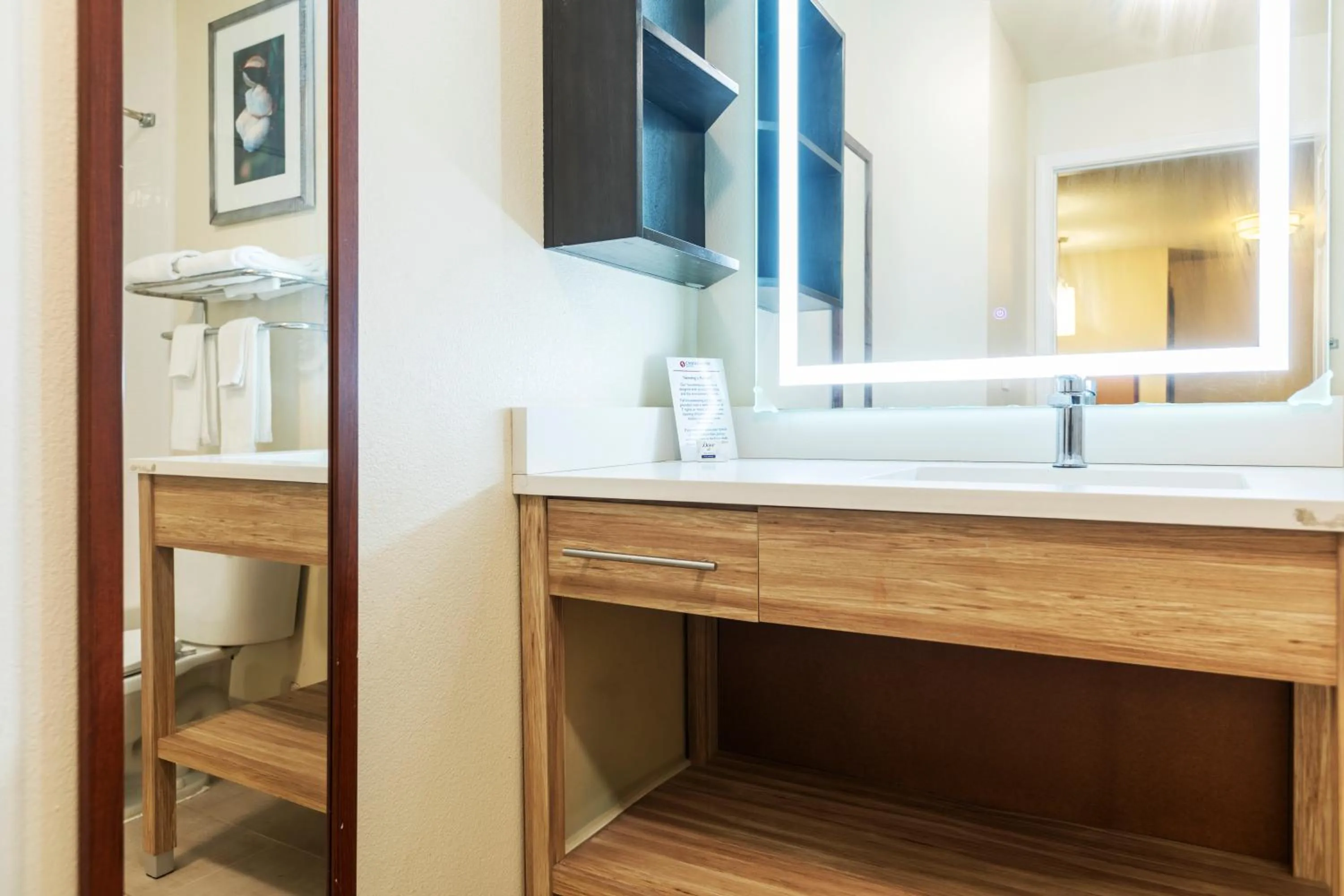 Bathroom in Candlewood Suites Colonial Heights - Fort Lee by IHG