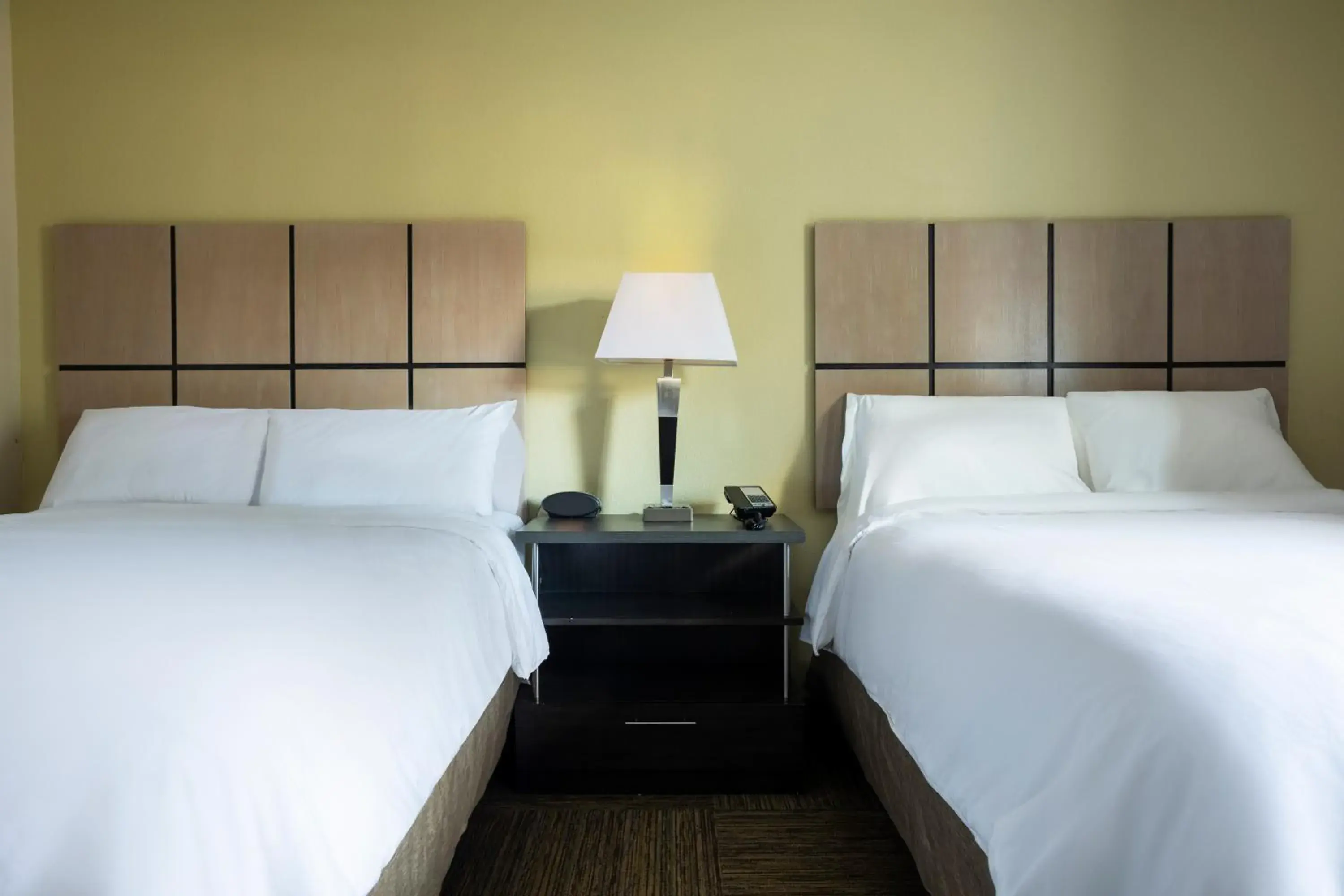 Studio Suite with Two Double Beds in Candlewood Suites Colonial Heights - Fort Lee by IHG Studio Suite with Two Double Beds in Candlewood Suites Colonial Heights - Fort Lee by IHG