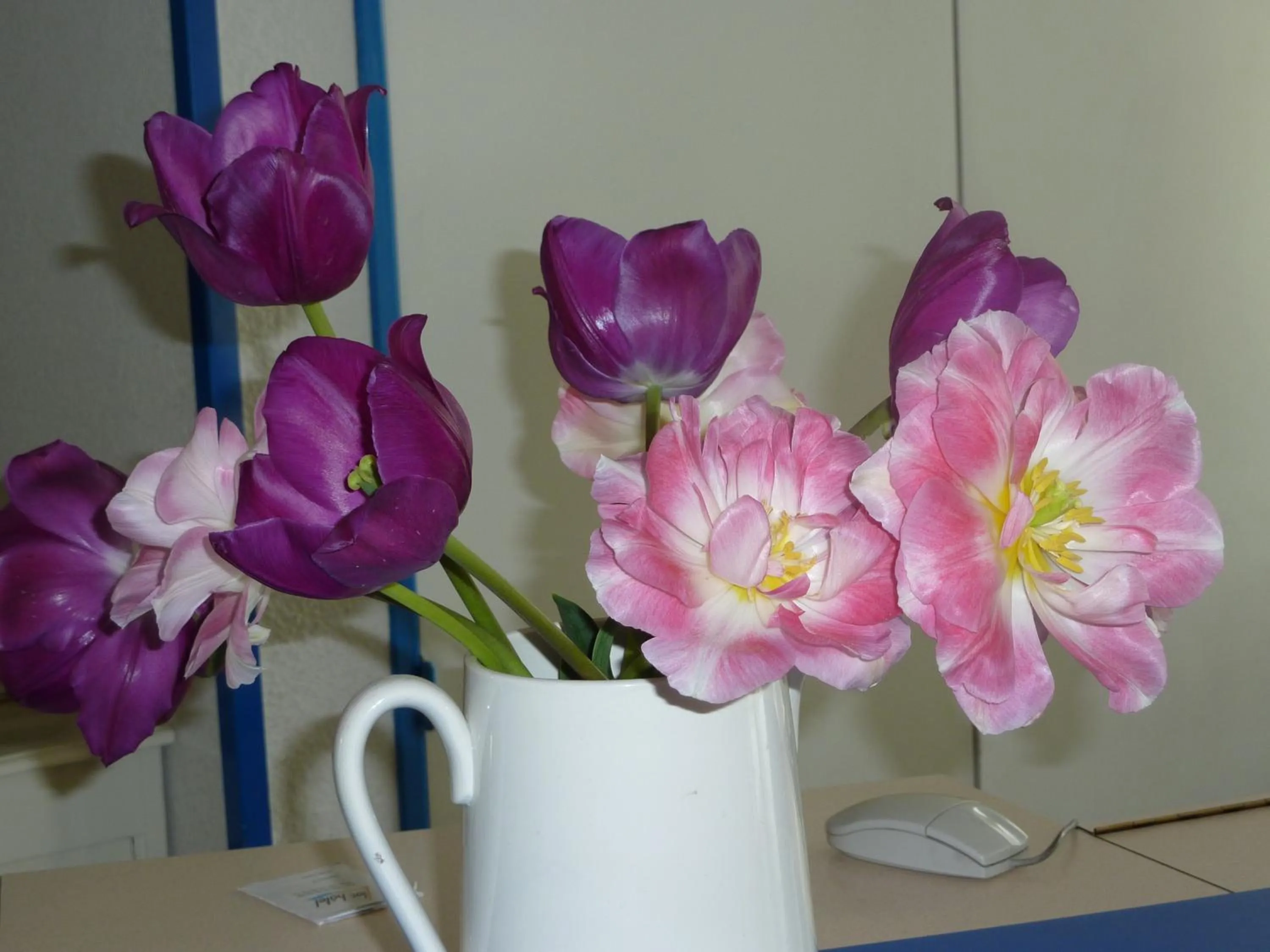 Garden in Lac'Hotel France