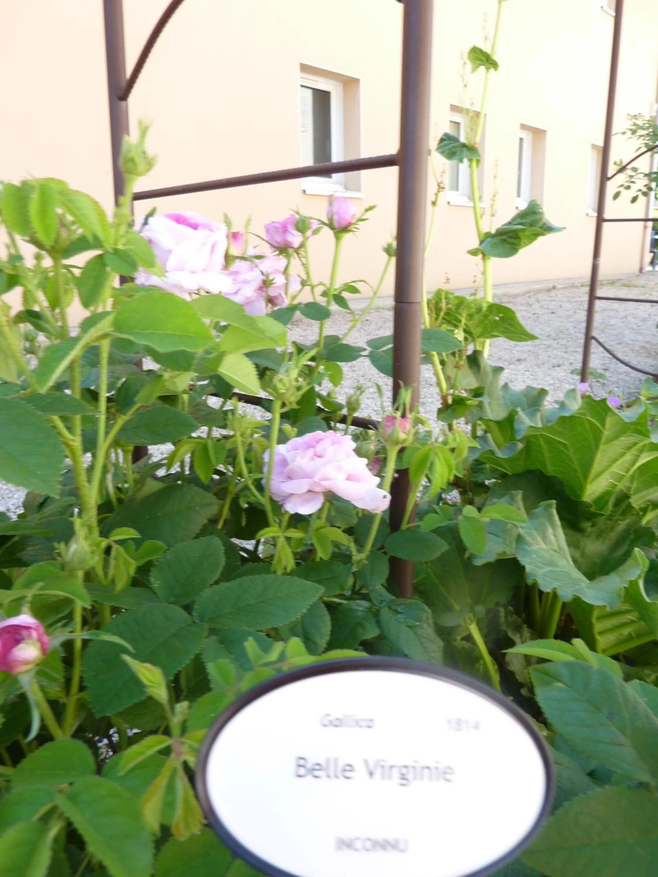 Garden in Lac'Hotel France