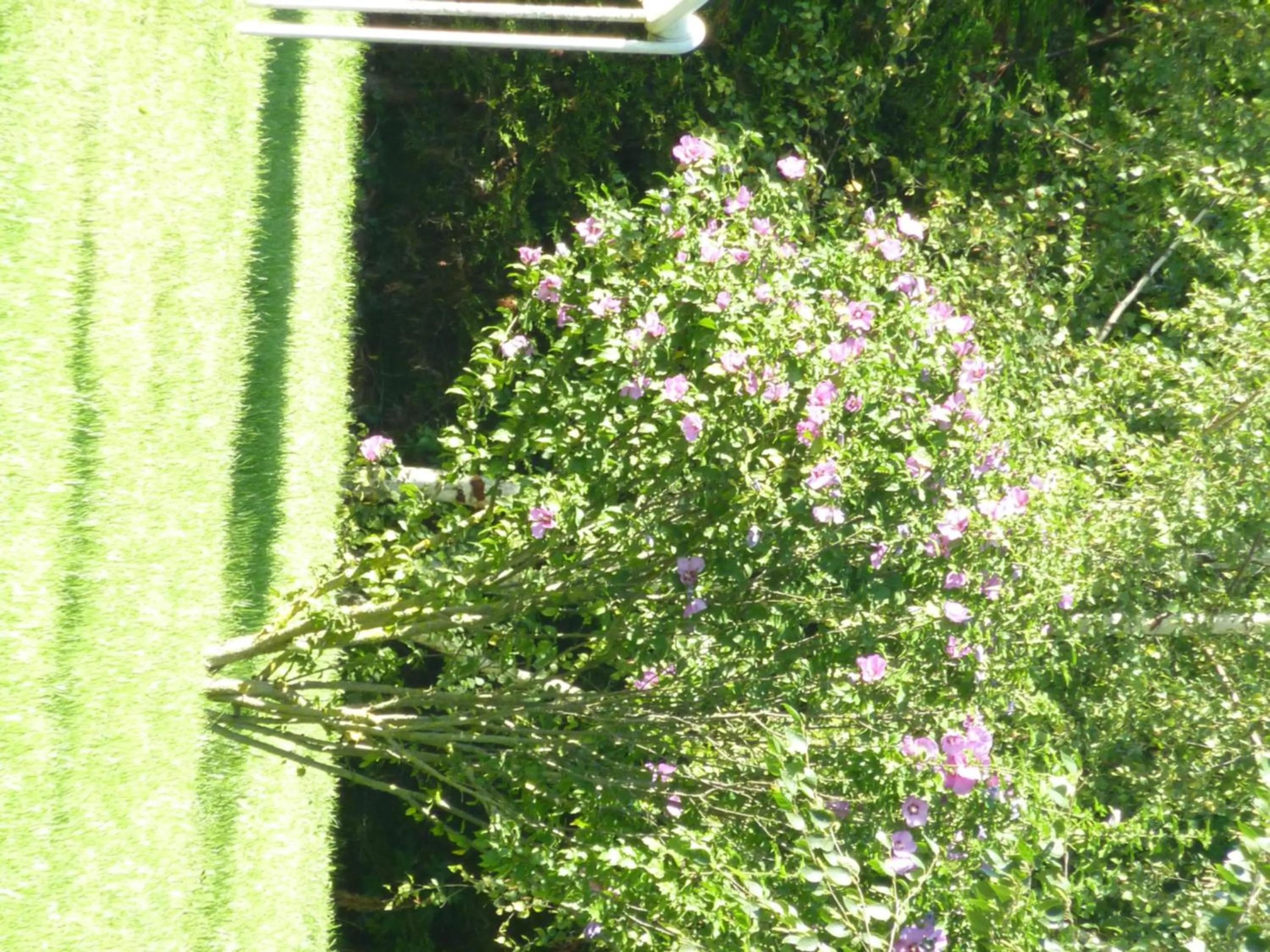 Other in Lac'Hotel France