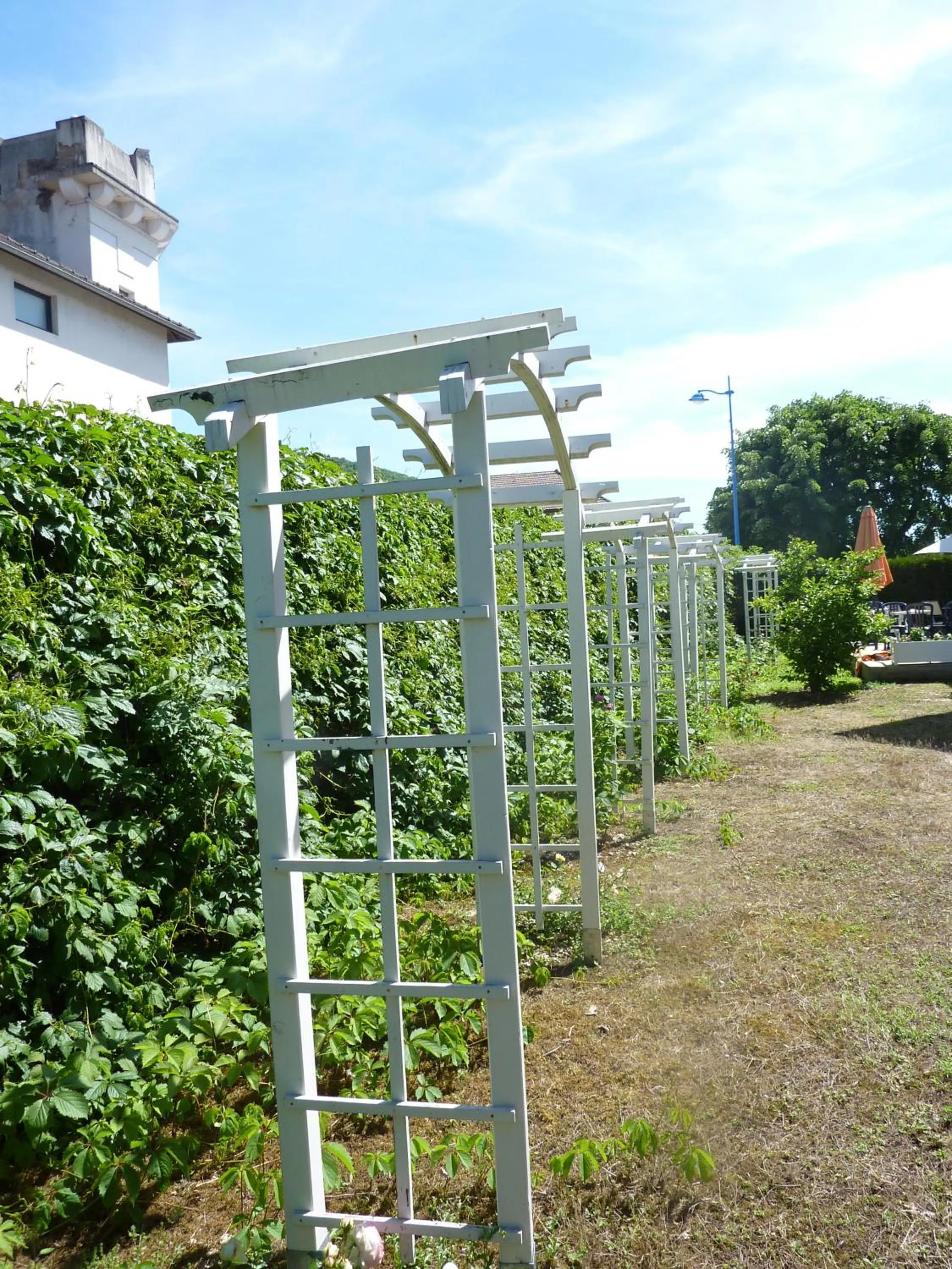 Garden in Lac'Hotel France