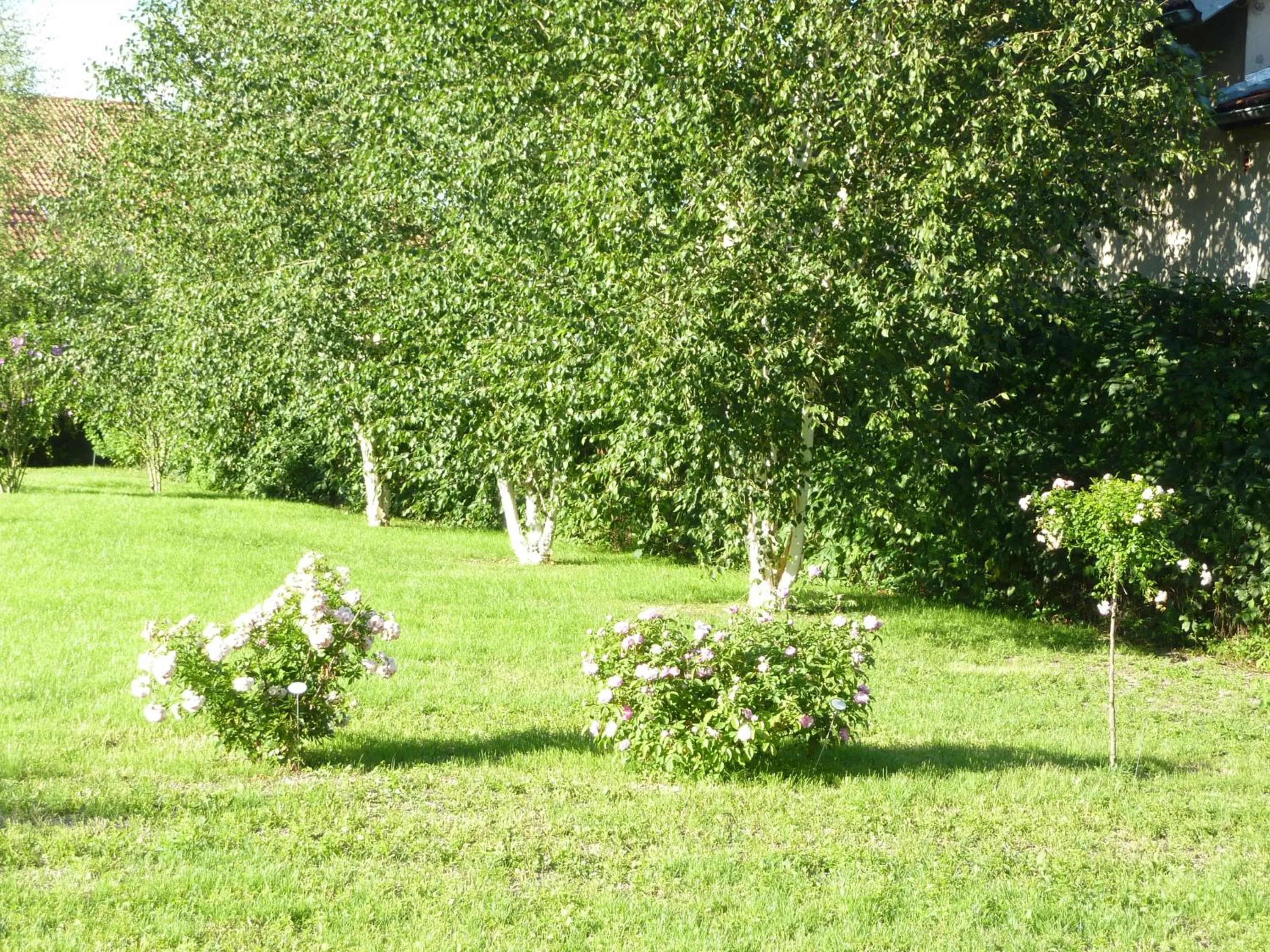 Other in Lac'Hotel France