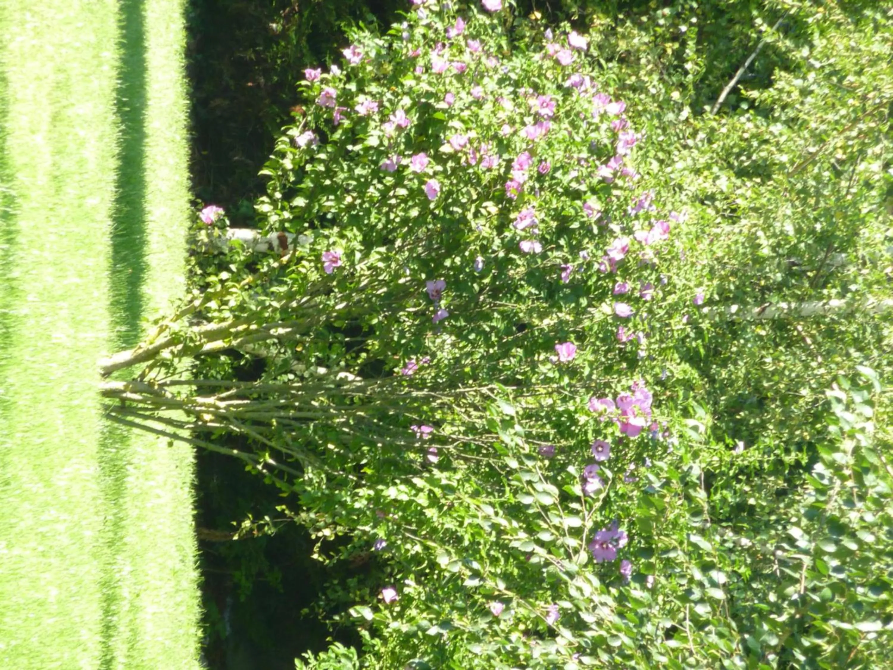 Other in Lac'Hotel France