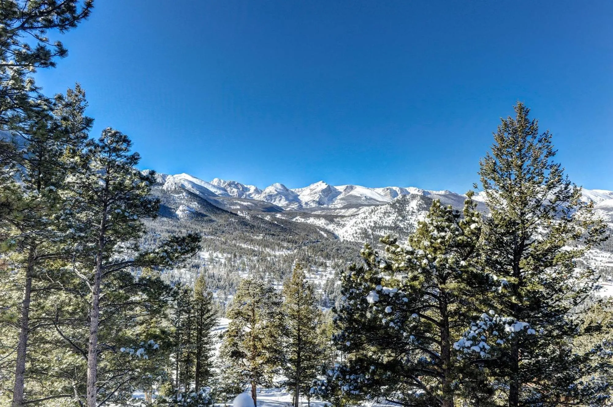 Natural landscape in Macmillan Home