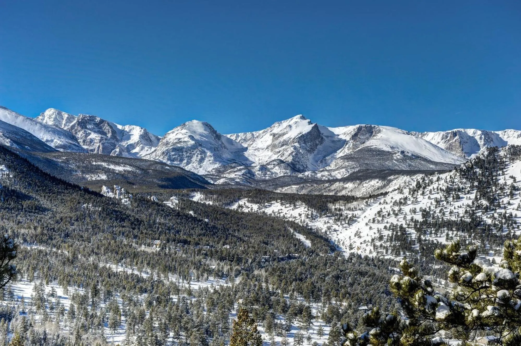 Natural landscape in Macmillan Home