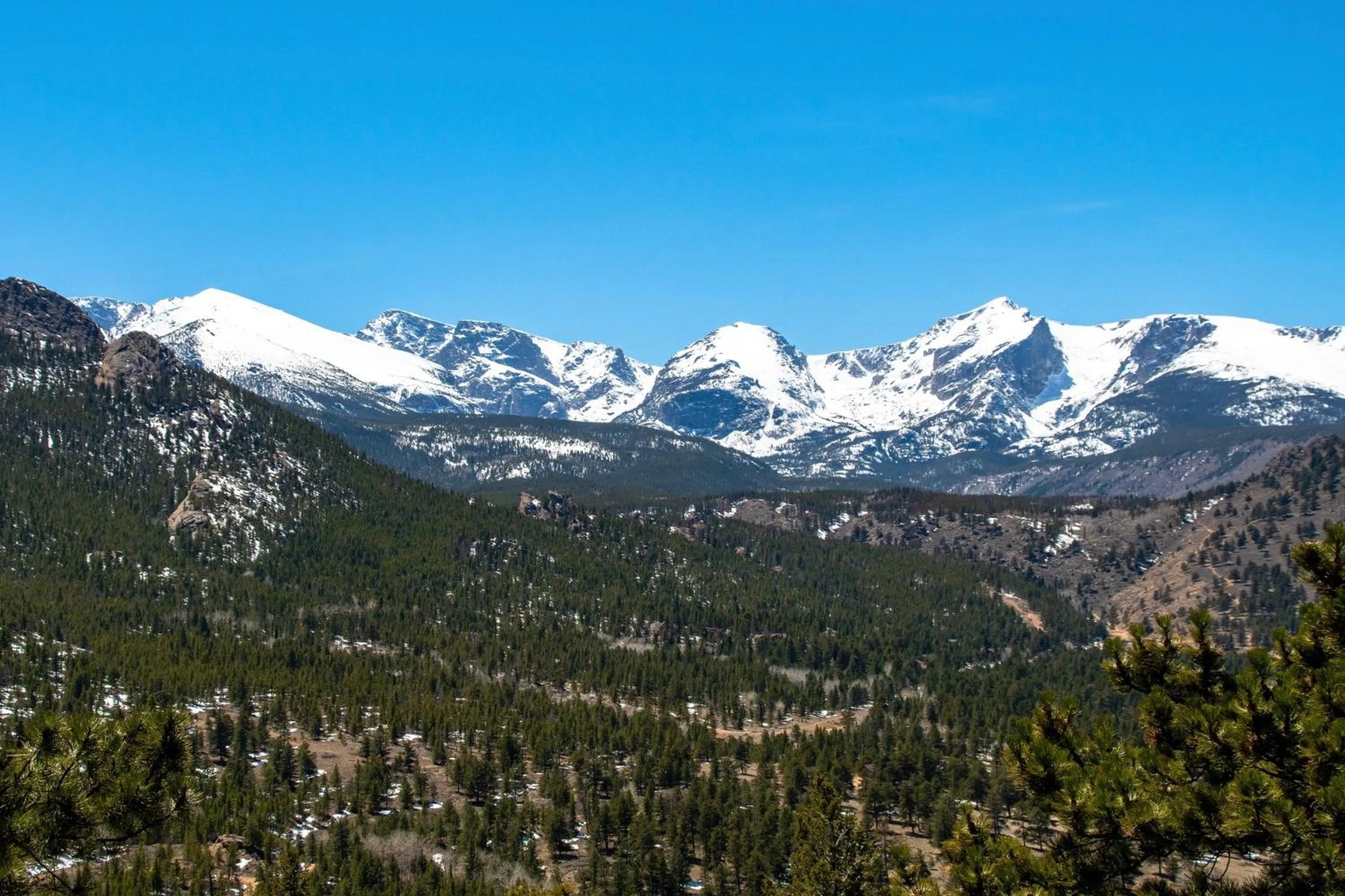 Natural landscape in Macmillan Home