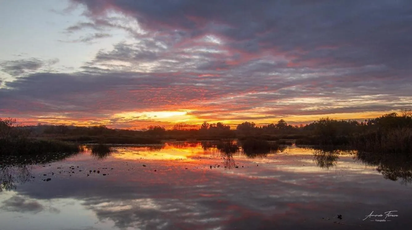 Hotel Conde de Agueda