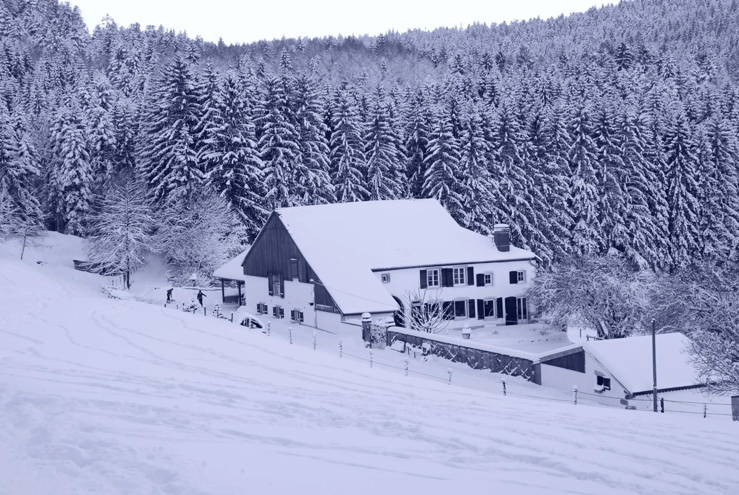Area and facilities in Chambre d'hôtes Kieffer Le Grand Bienfaisy