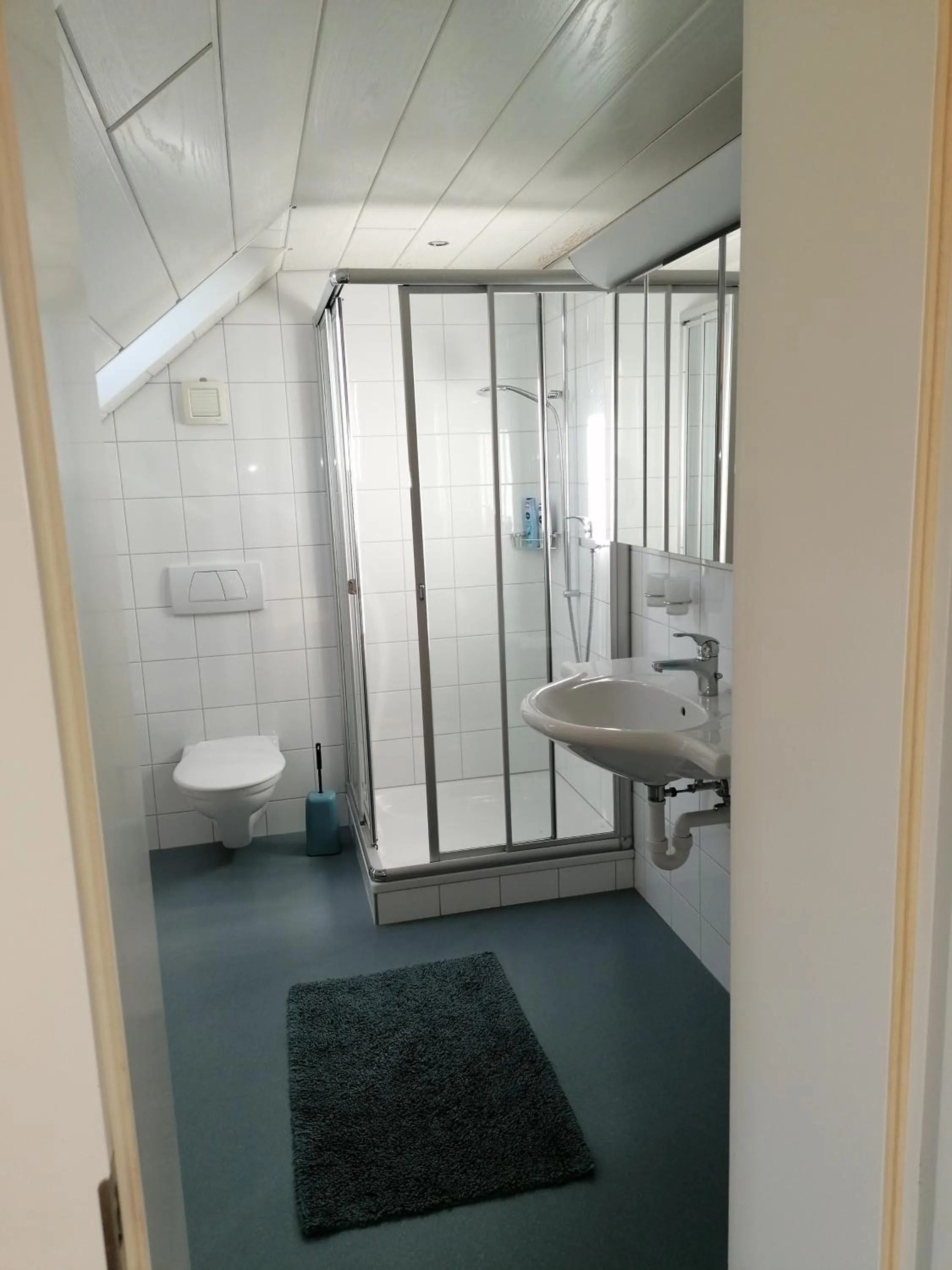 Toilet in Gasthaus Bären Schlatt