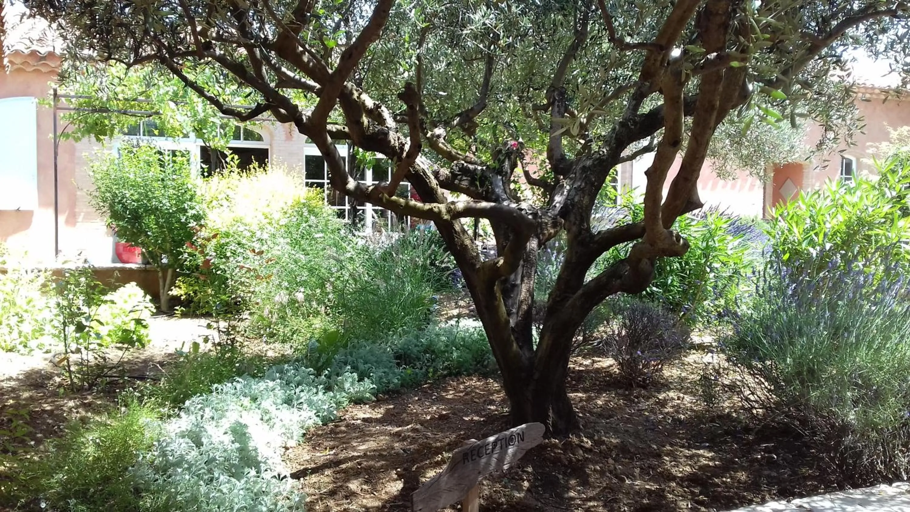 Natural landscape in Les Jardins de l'Ermitage