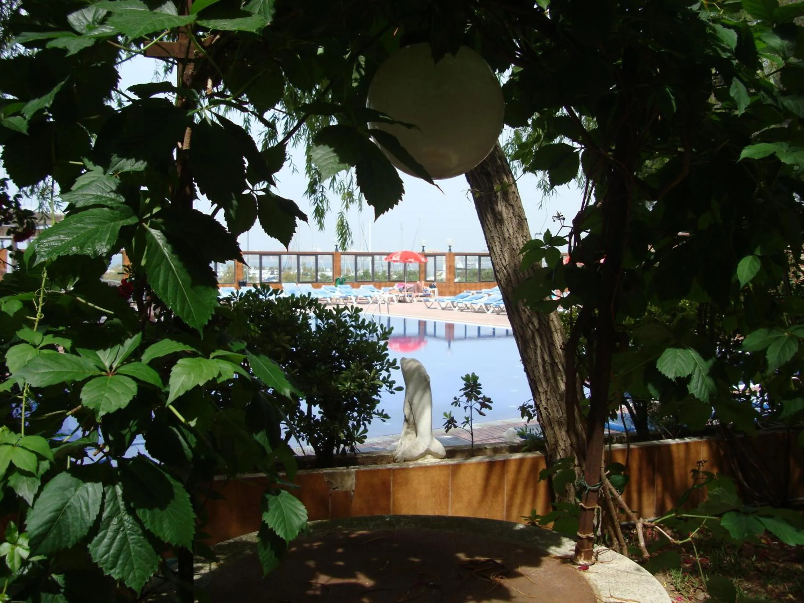 Swimming pool in Hotel Univers