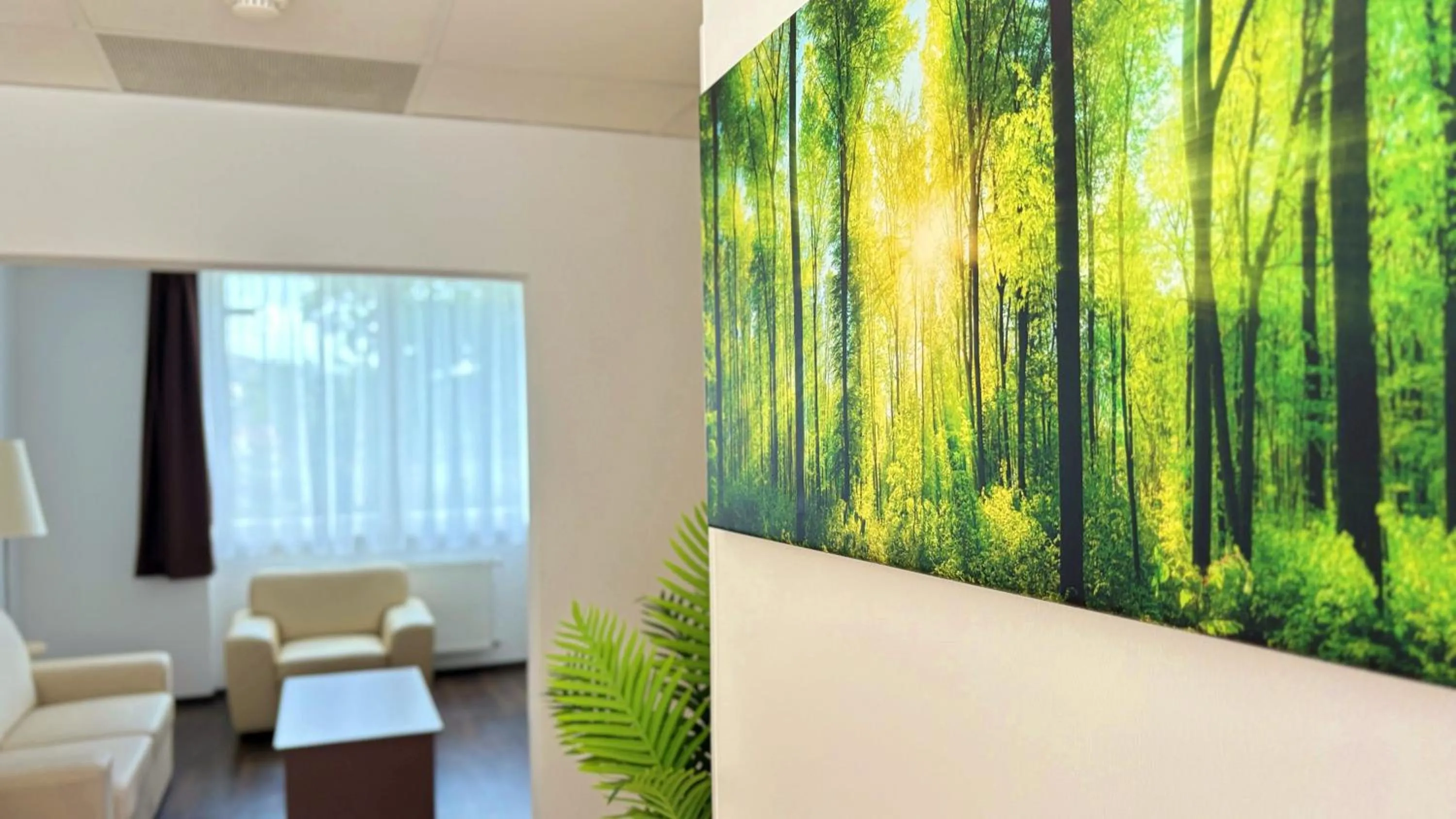 TV and multimedia in Hotel Opal Superior - Adults Only