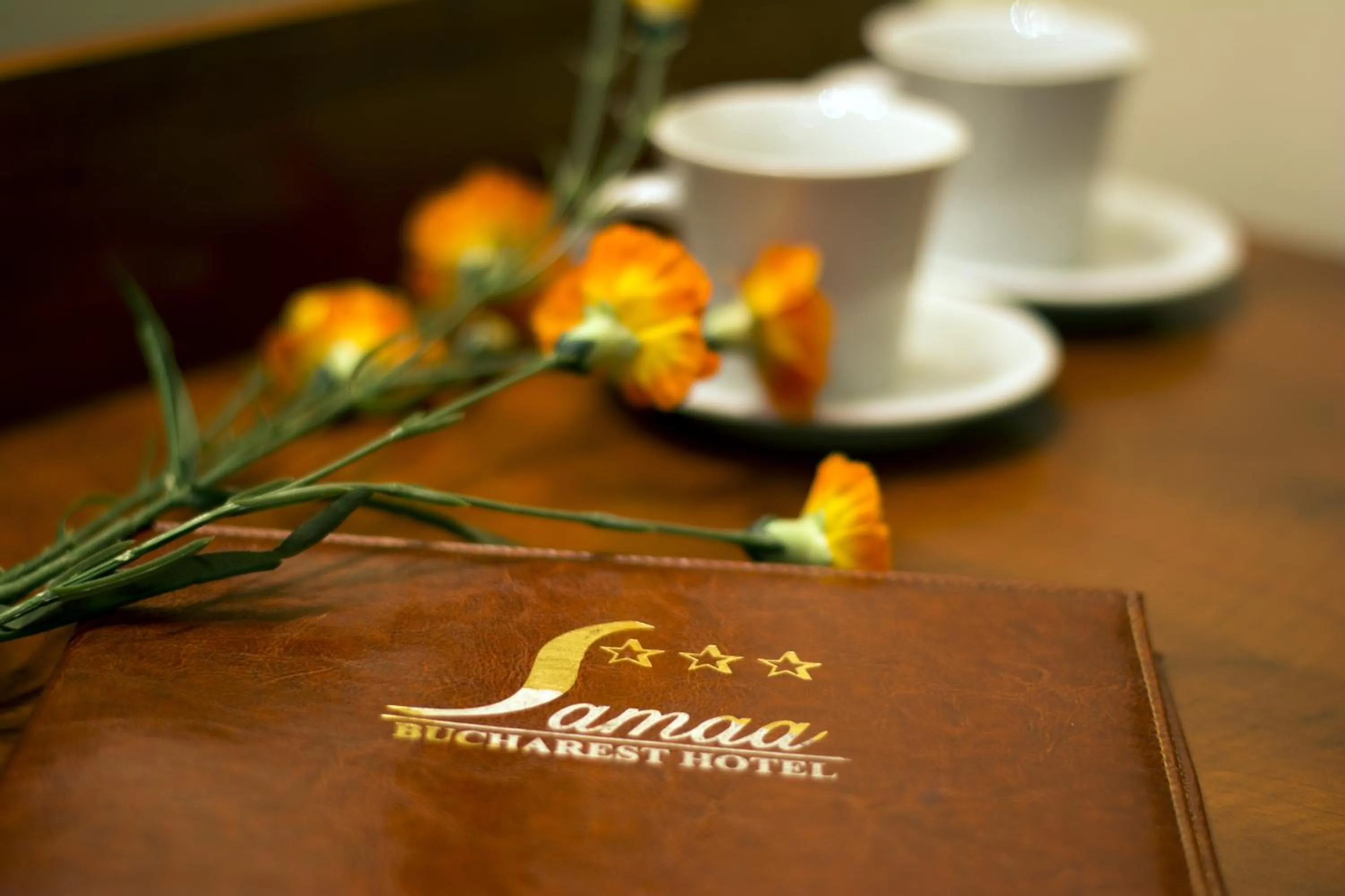 Property logo or sign in Samaa Hotel