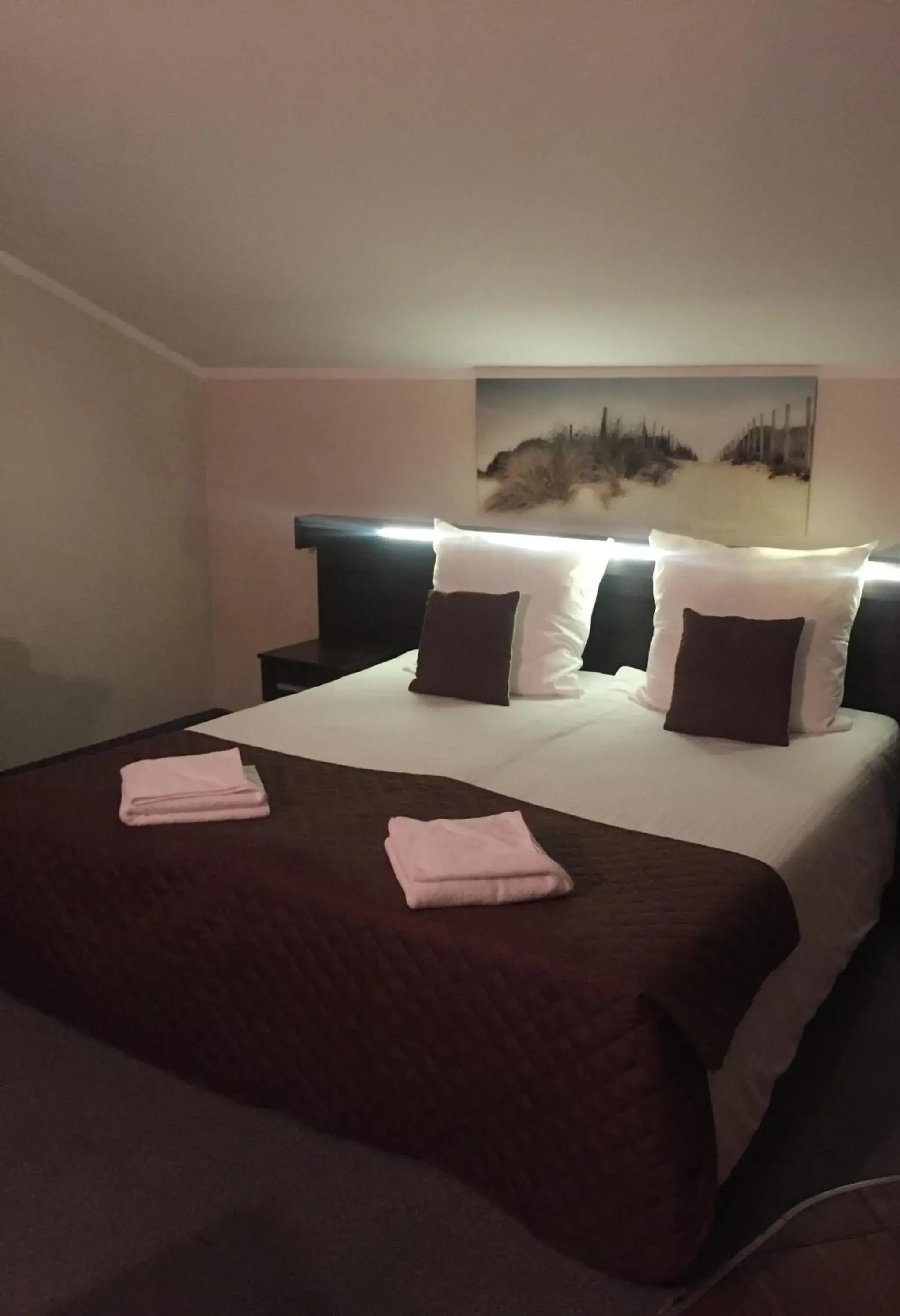 Standard Double Room - single occupancy in Jaśminowy Gaj Standard Double Room - single occupancy in Jaśminowy Gaj