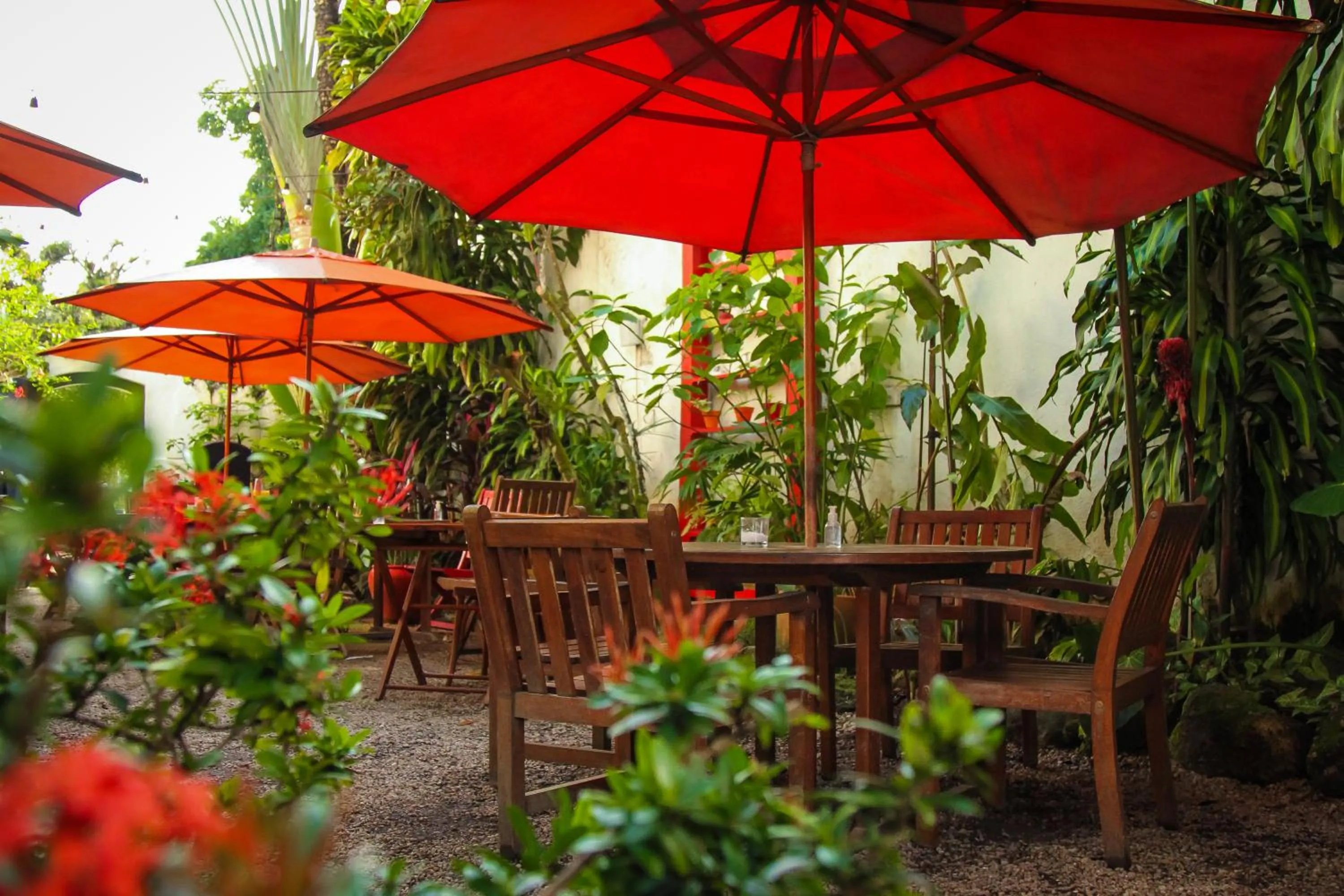 Garden in Pousada Bartholomeu