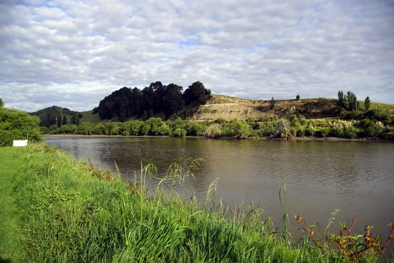 Natural landscape in Whanganui River Top 10 Holiday Park