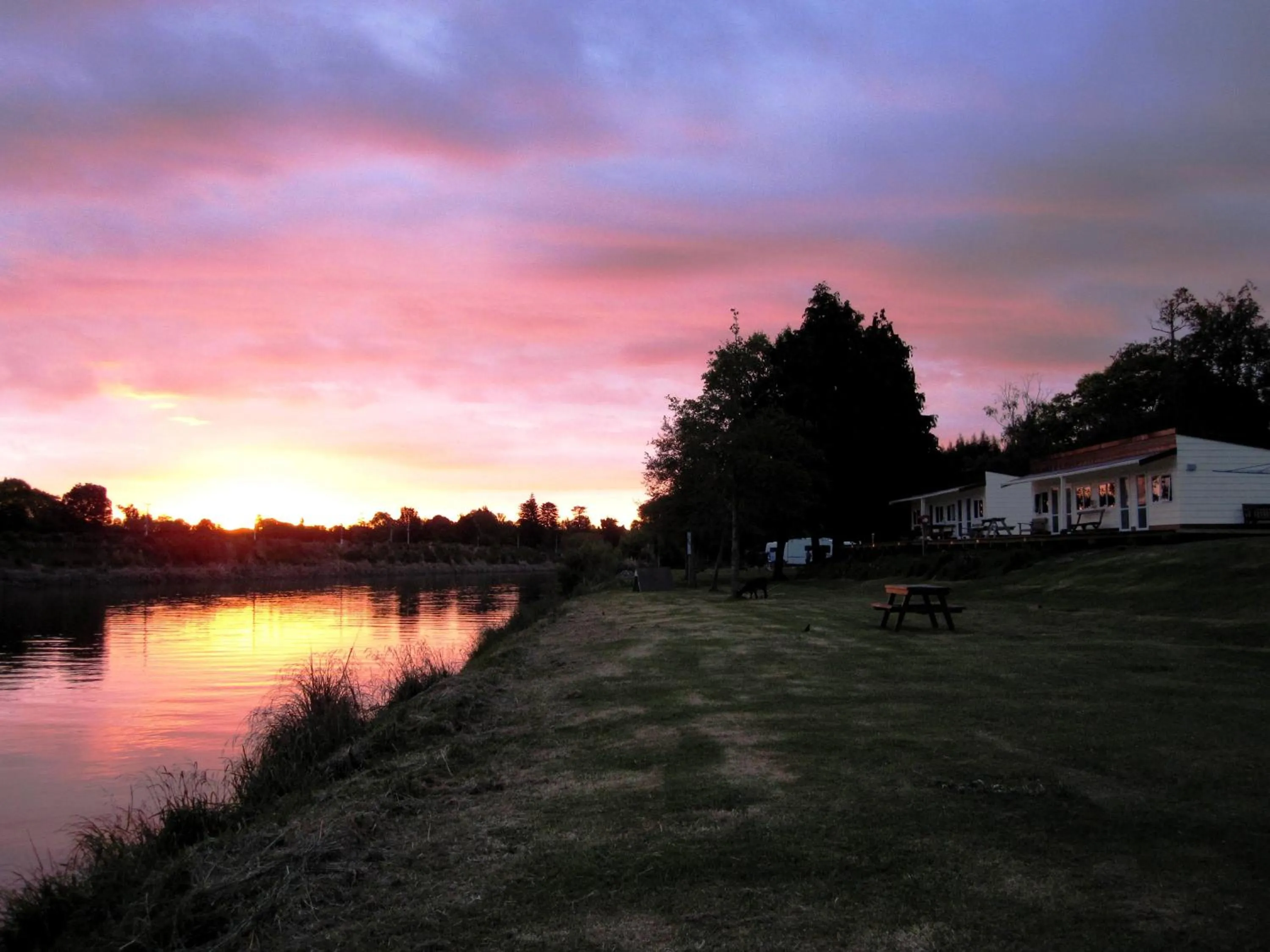 River view in Whanganui River Top 10 Holiday Park