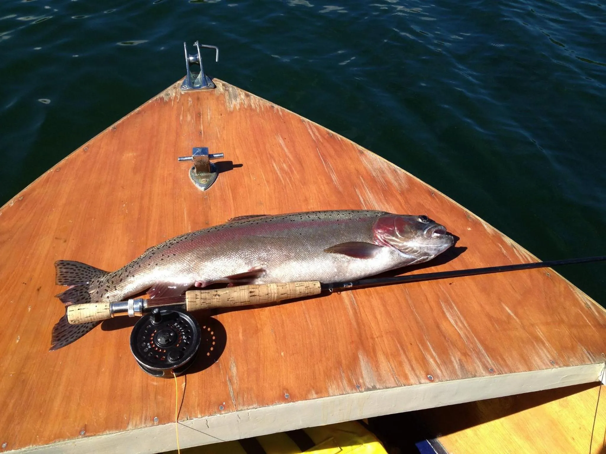 Fishing in Rainbow Motel & Hot Pools