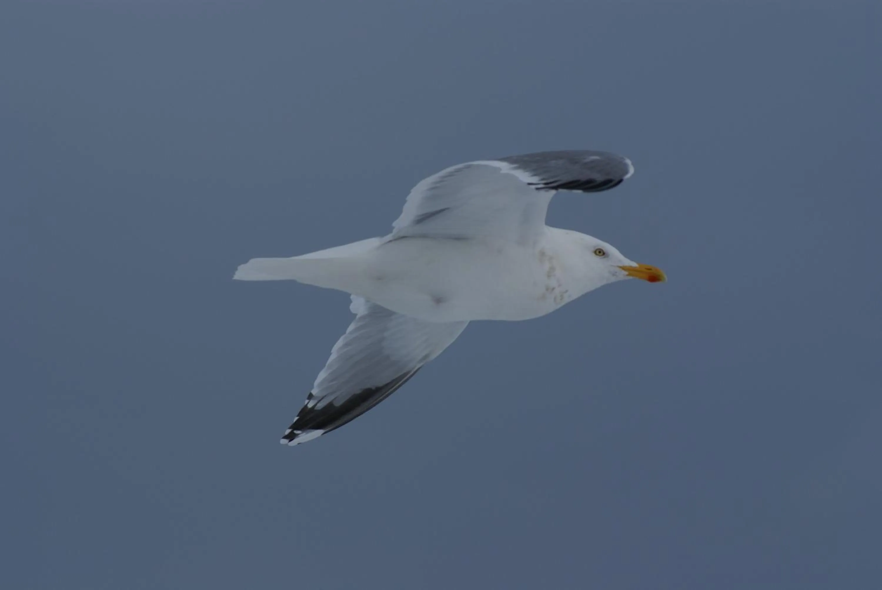 Off site in Hotel Residenz Rennhack