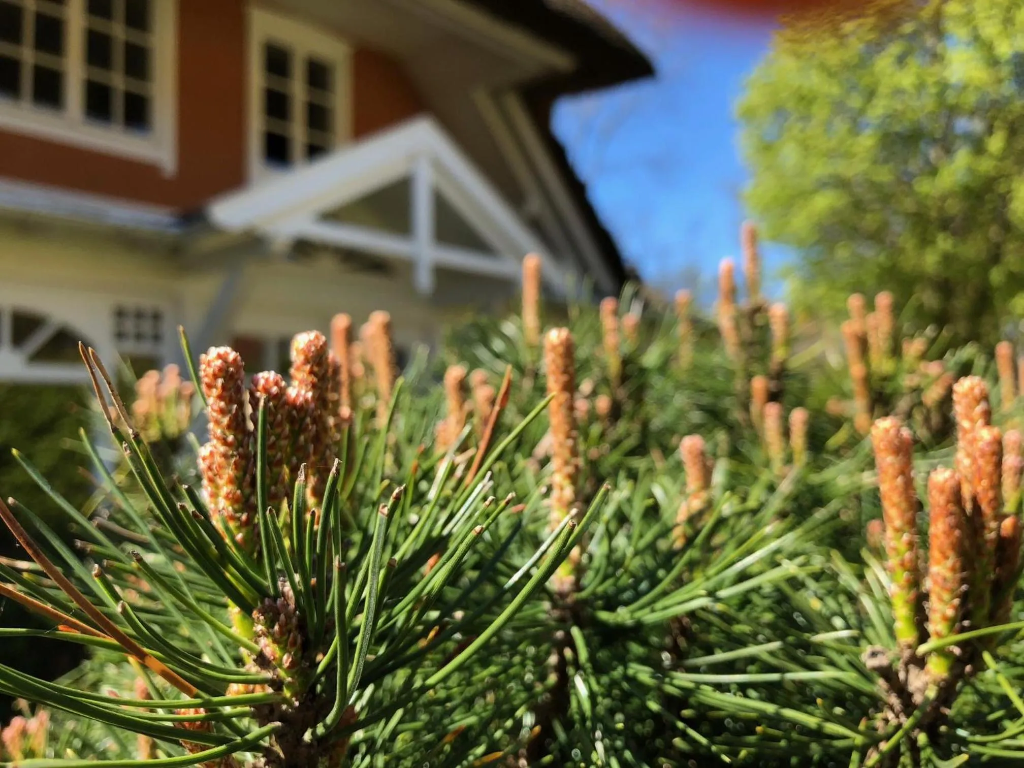 Property building in Hotel Residenz Rennhack