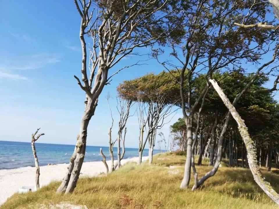 Natural landscape in Hotel Residenz Rennhack