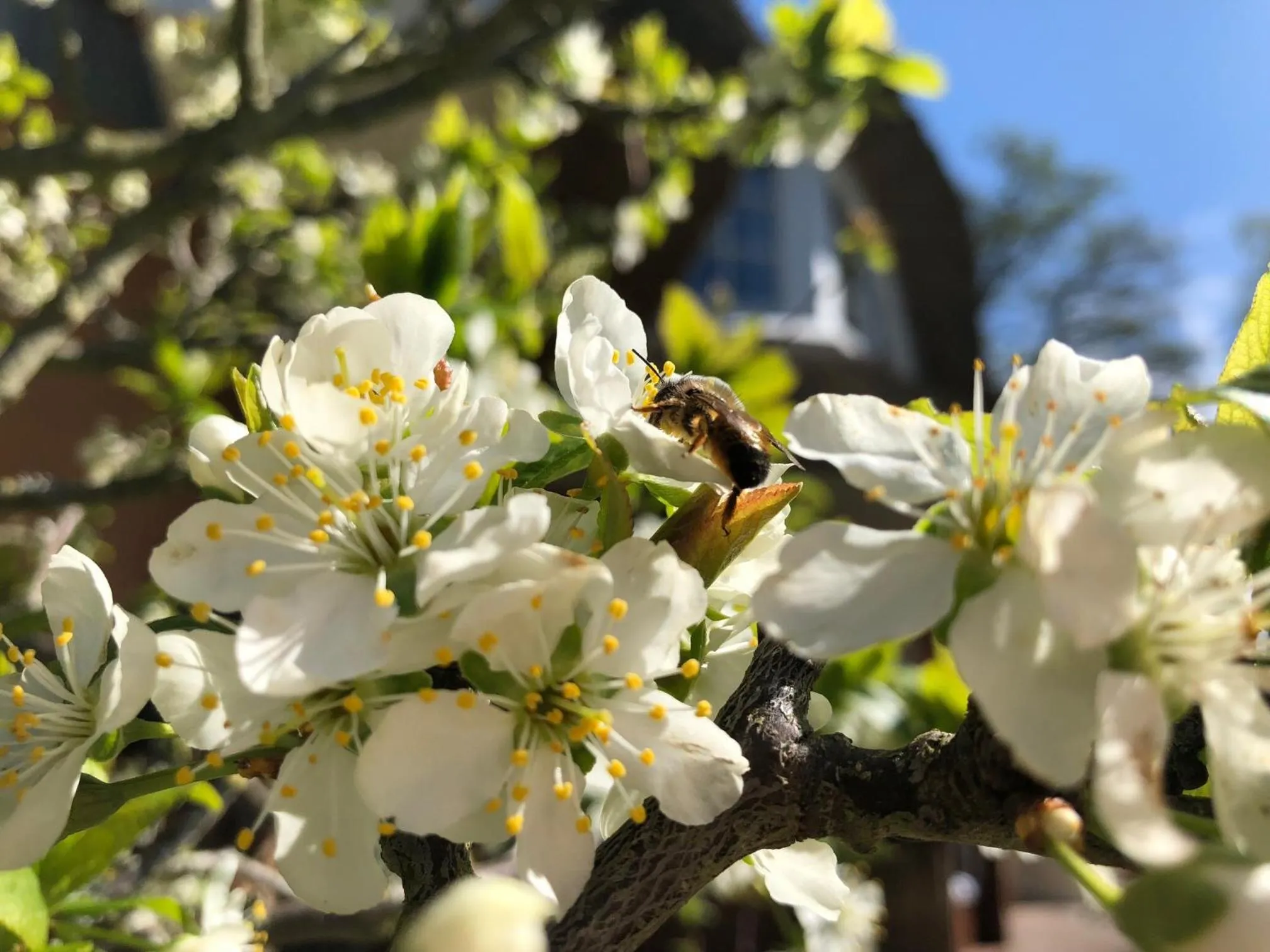 Spring in Hotel Residenz Rennhack