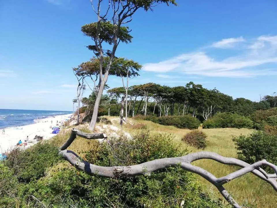 Natural landscape in Hotel Residenz Rennhack