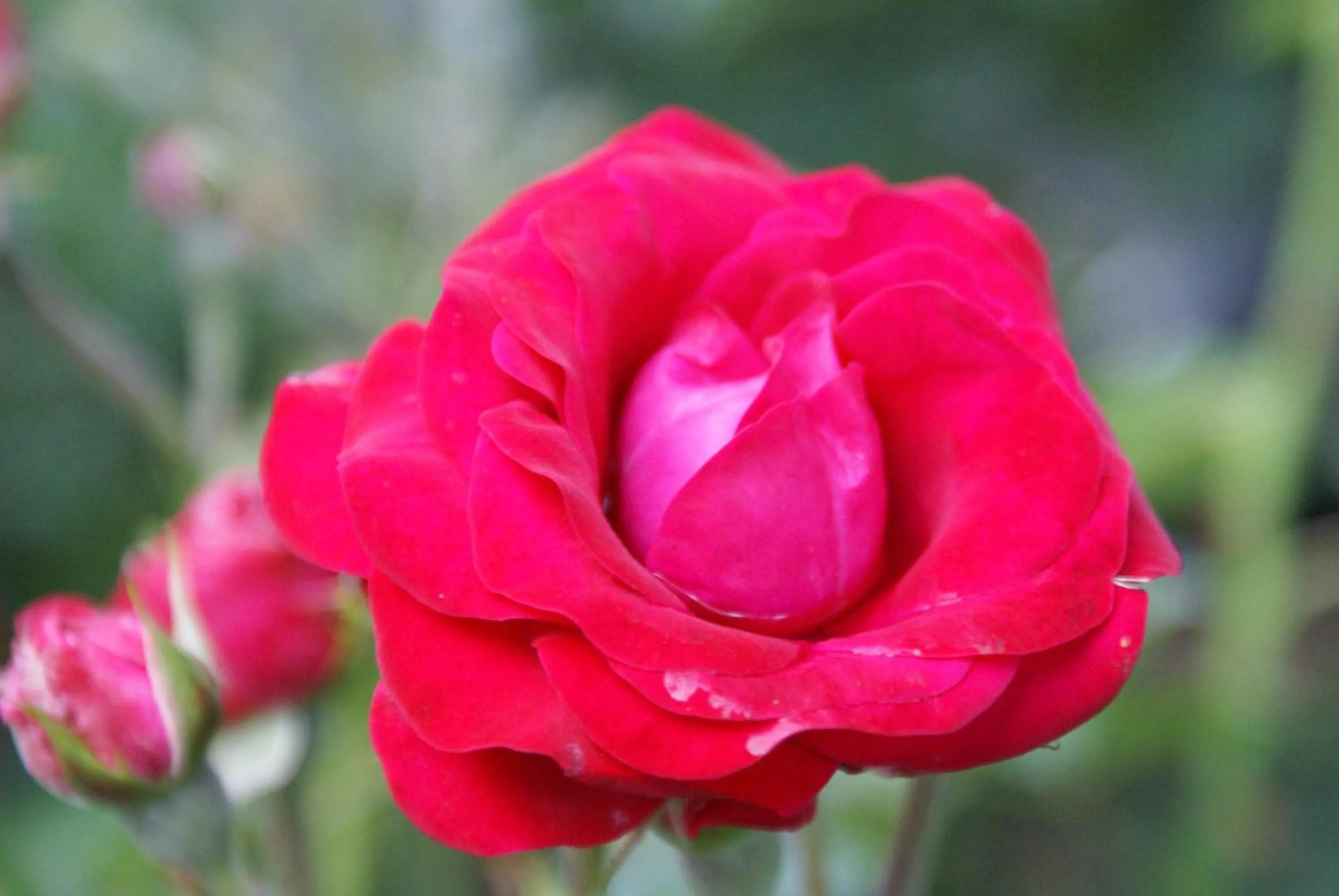 Day in Hotel Residenz Rennhack