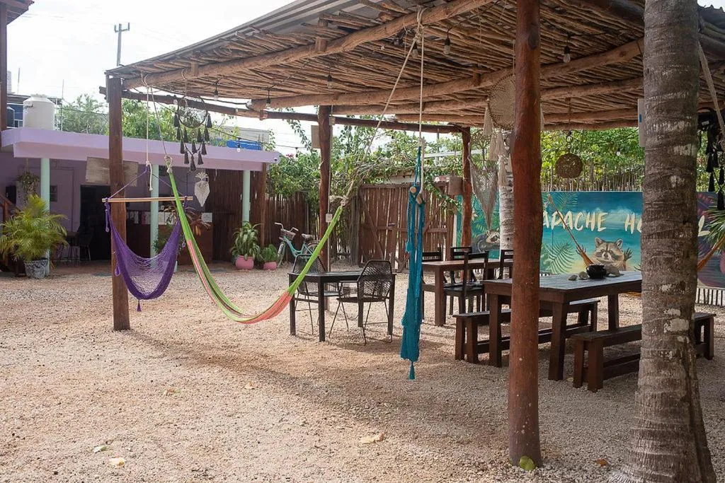 Patio in Mapache Hostel