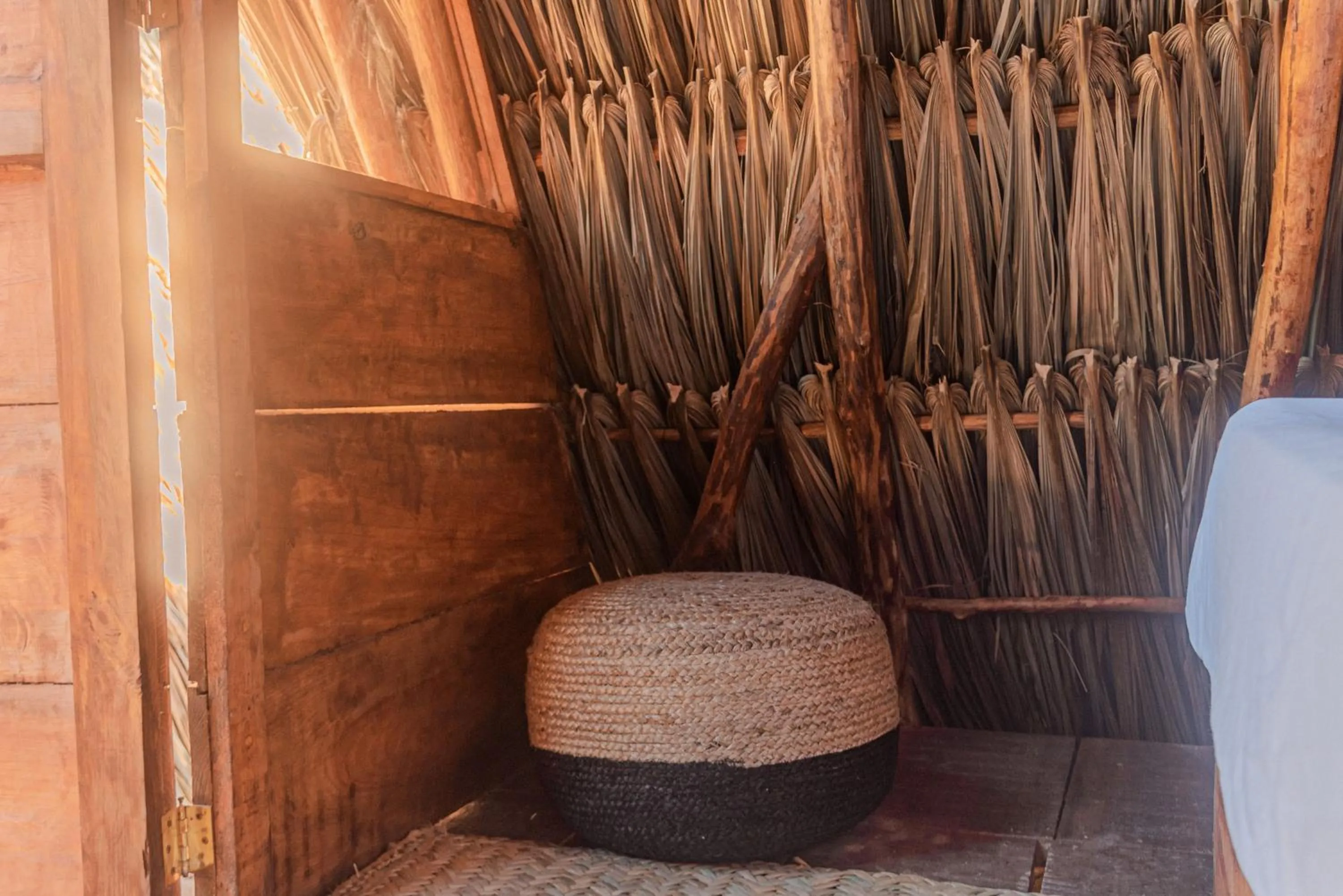 Decorative detail in Mapache Hostel